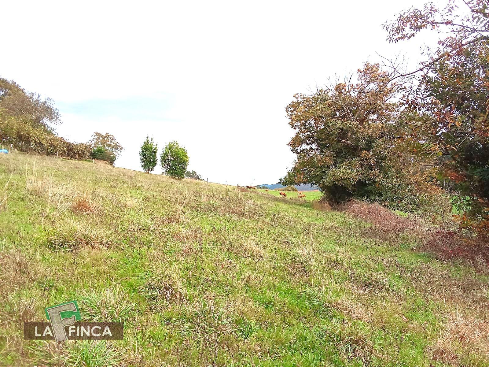 For sale of house in Pravia