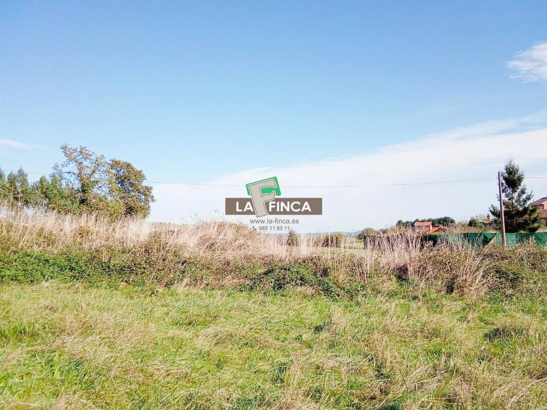 For sale of land in Corvera