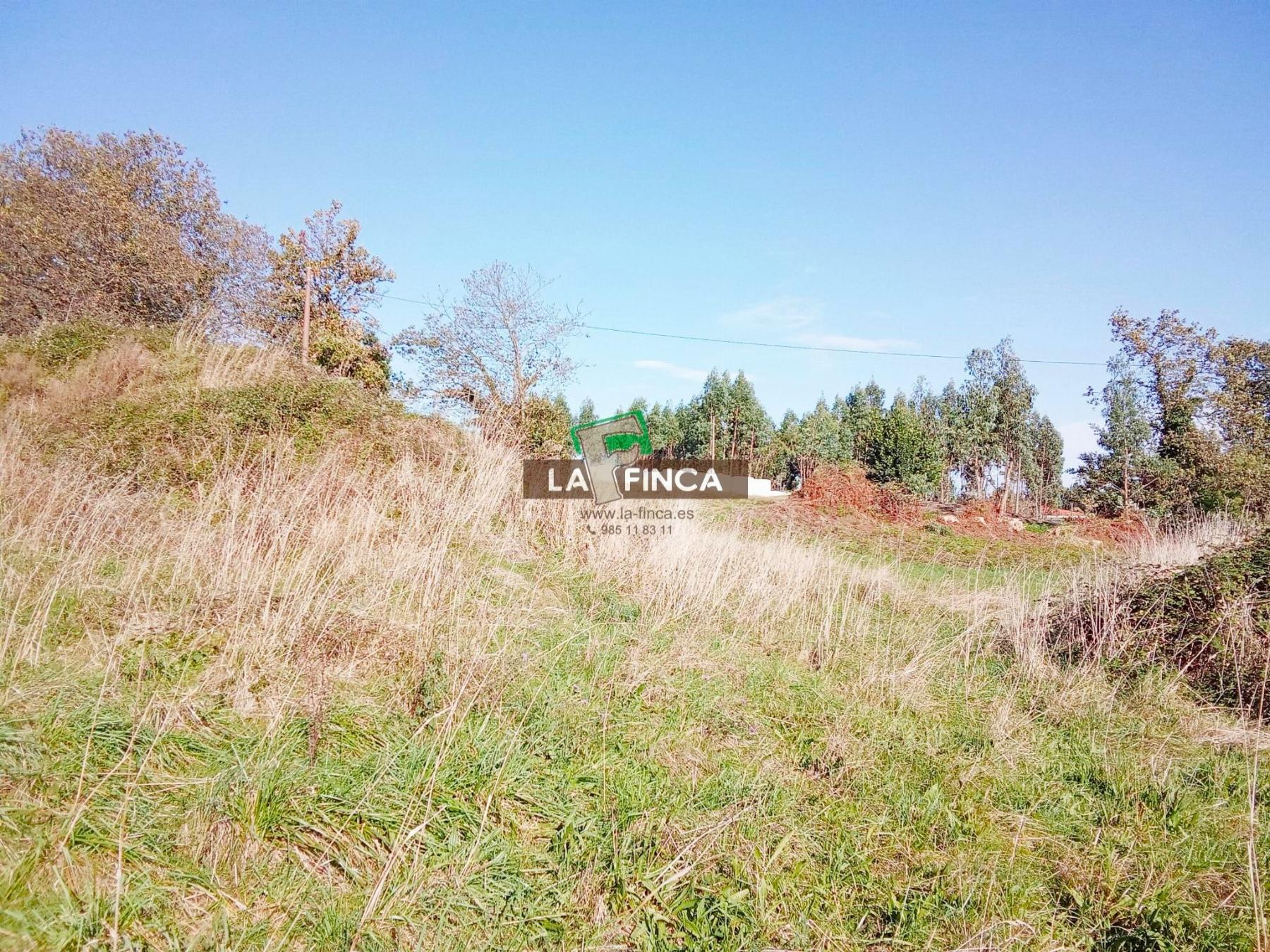 For sale of land in Corvera