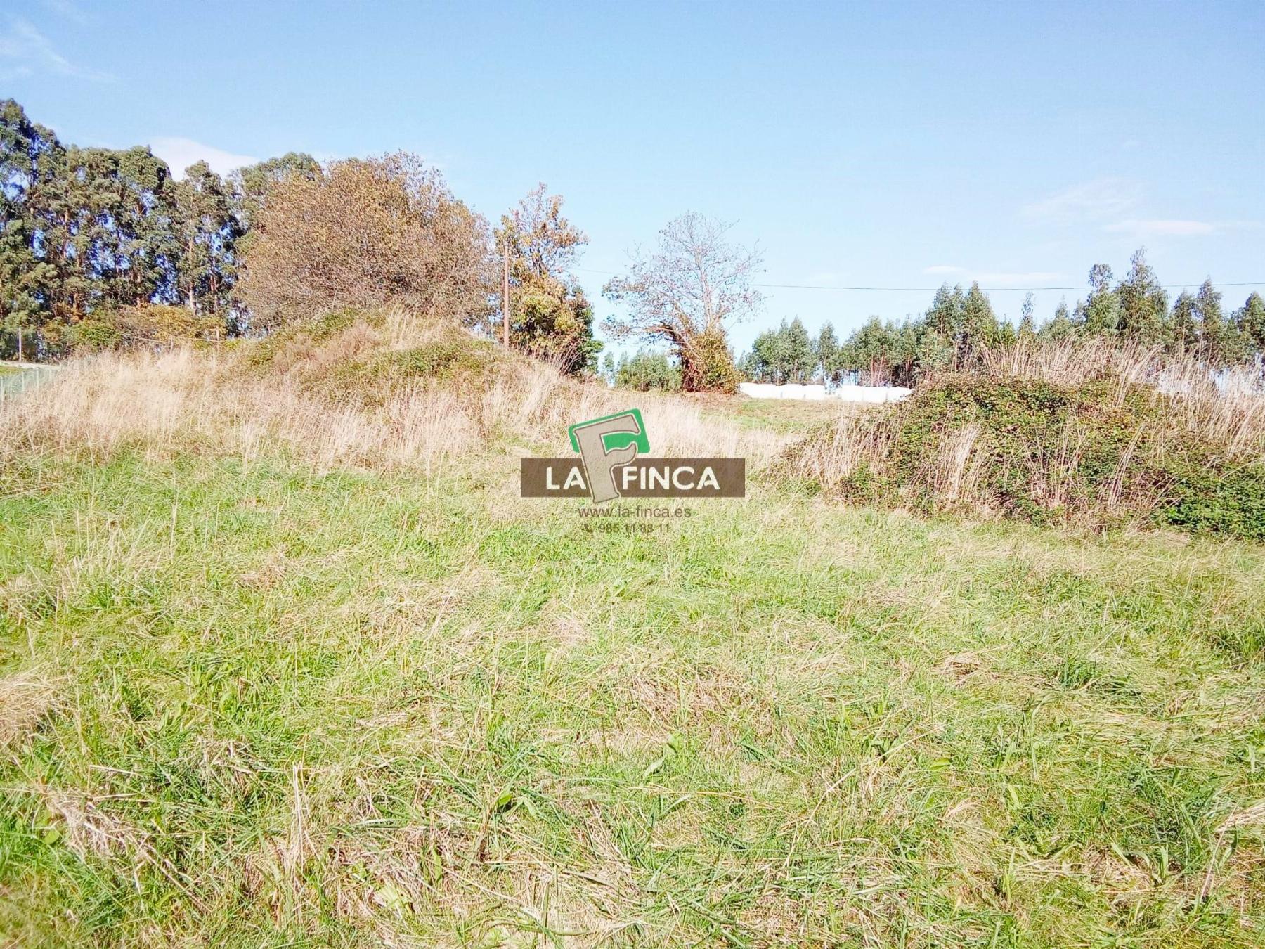 For sale of land in Corvera