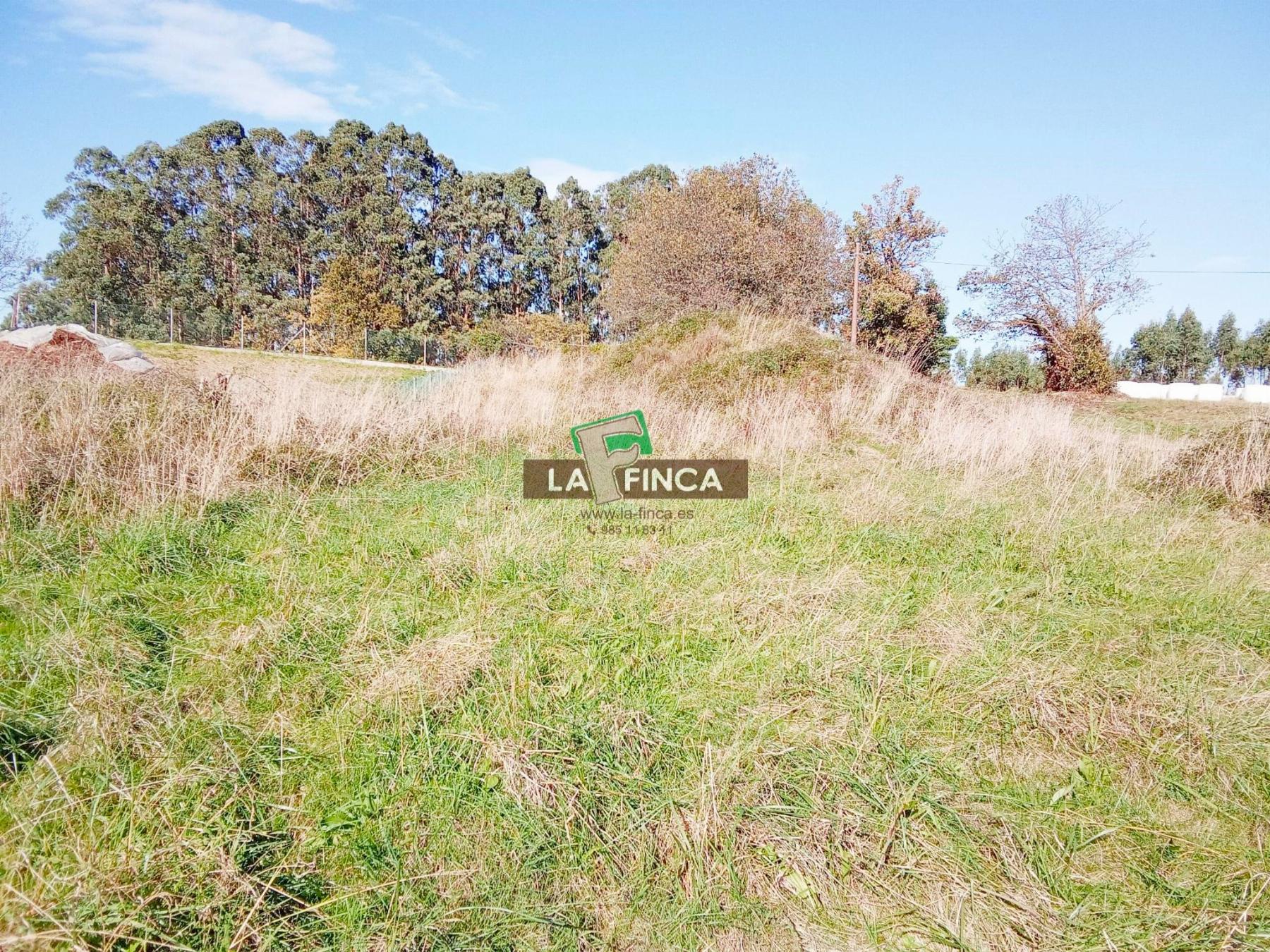 For sale of land in Corvera