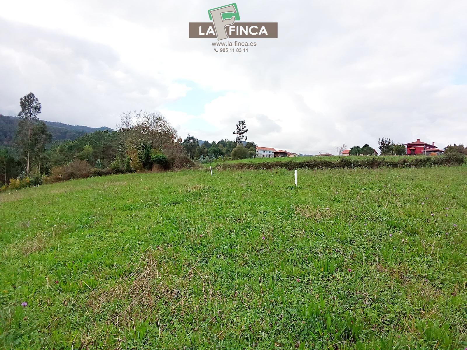 Venta de terreno en Cudillero Concejo