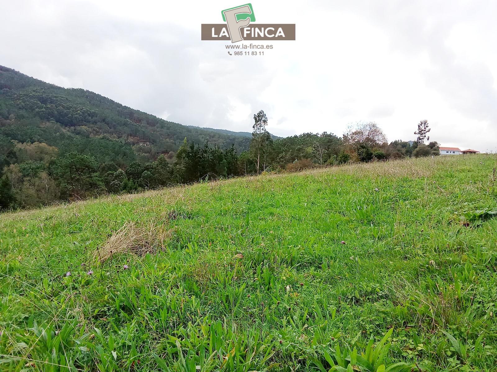 Venta de terreno en Cudillero Concejo