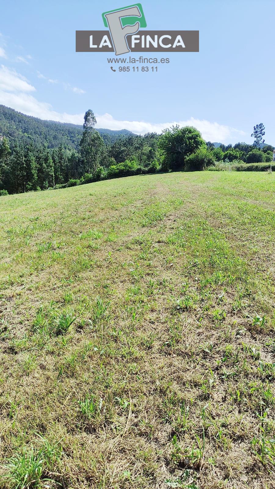 Venta de terreno en Cudillero Concejo