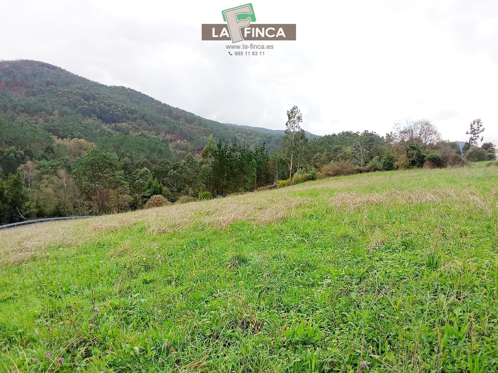 Venta de terreno en Cudillero Concejo