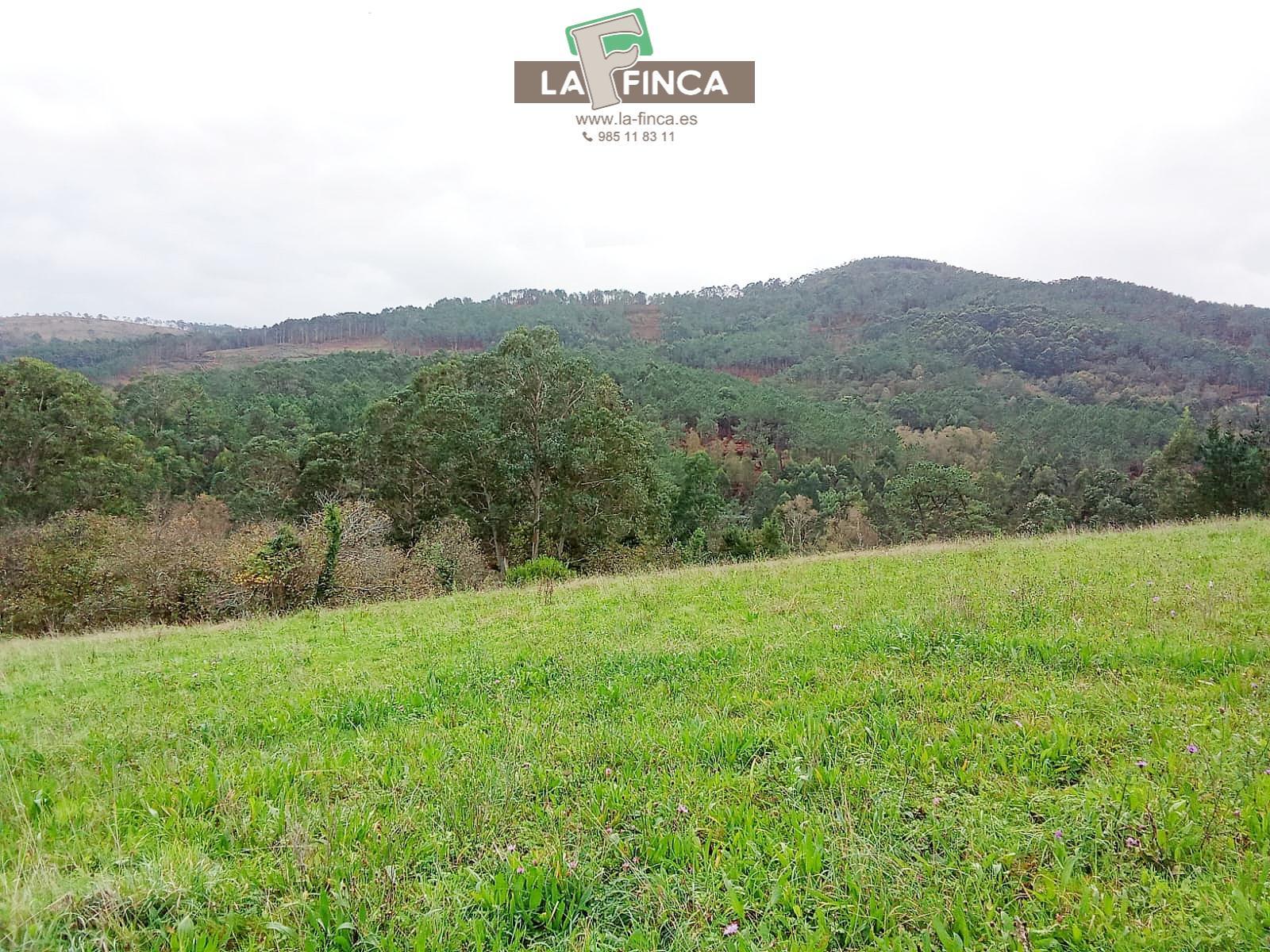 Venta de terreno en Cudillero Concejo