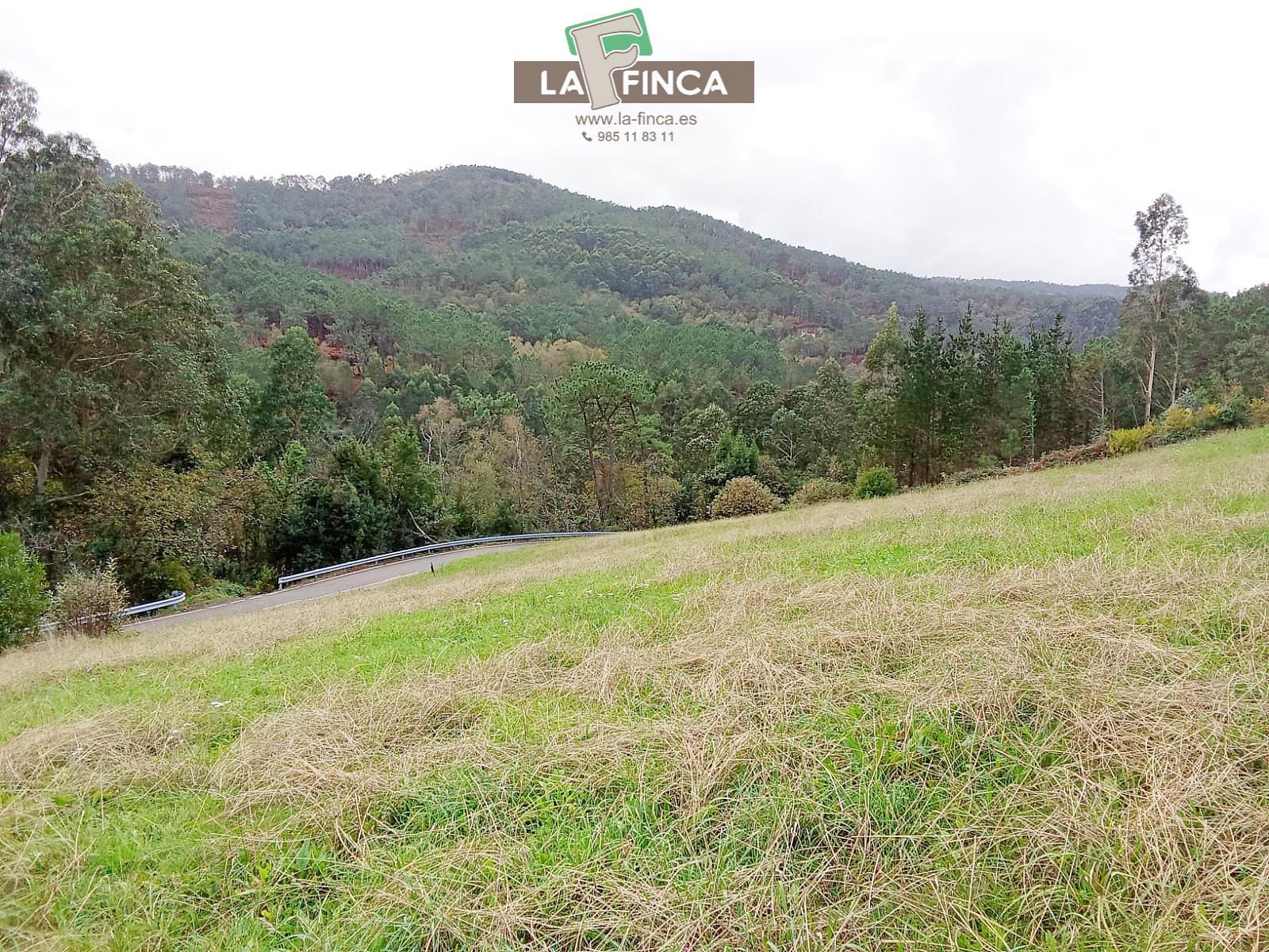 Venta de terreno en Cudillero Concejo