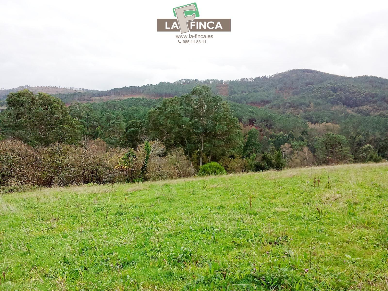Venta de terreno en Cudillero Concejo