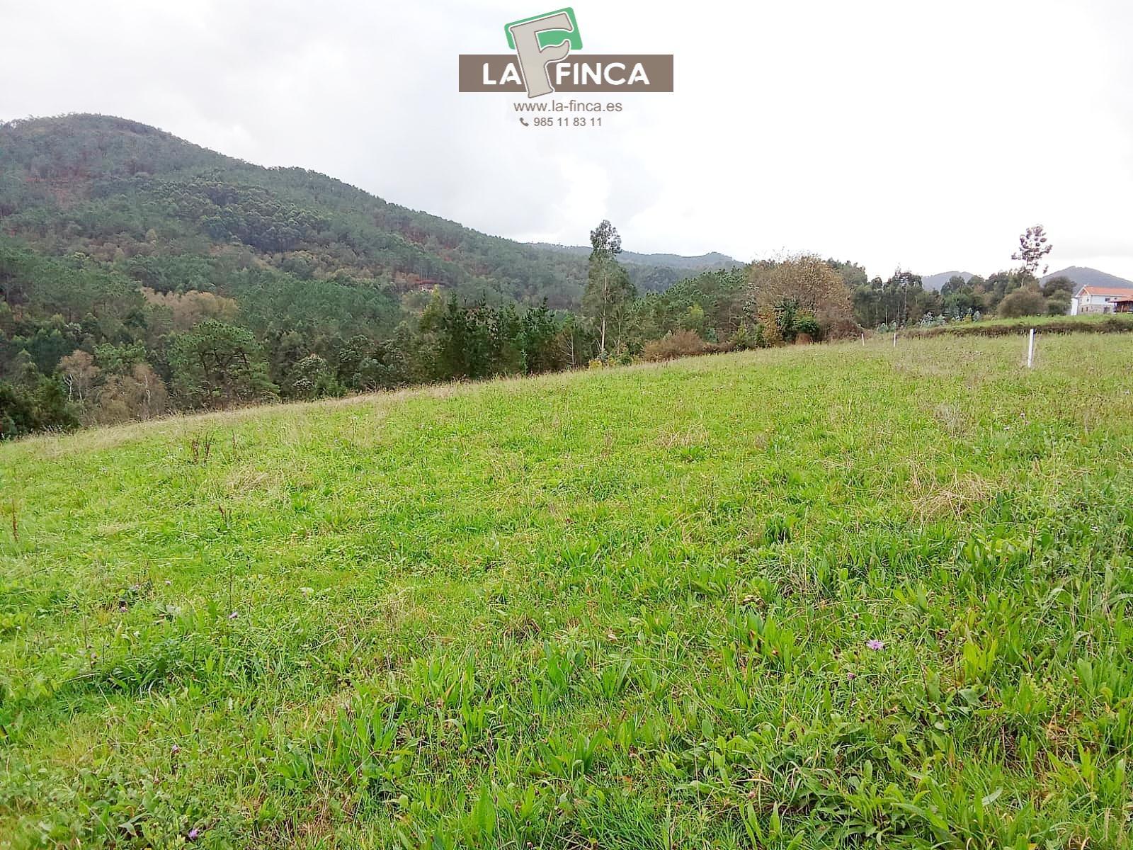 Venta de terreno en Cudillero Concejo