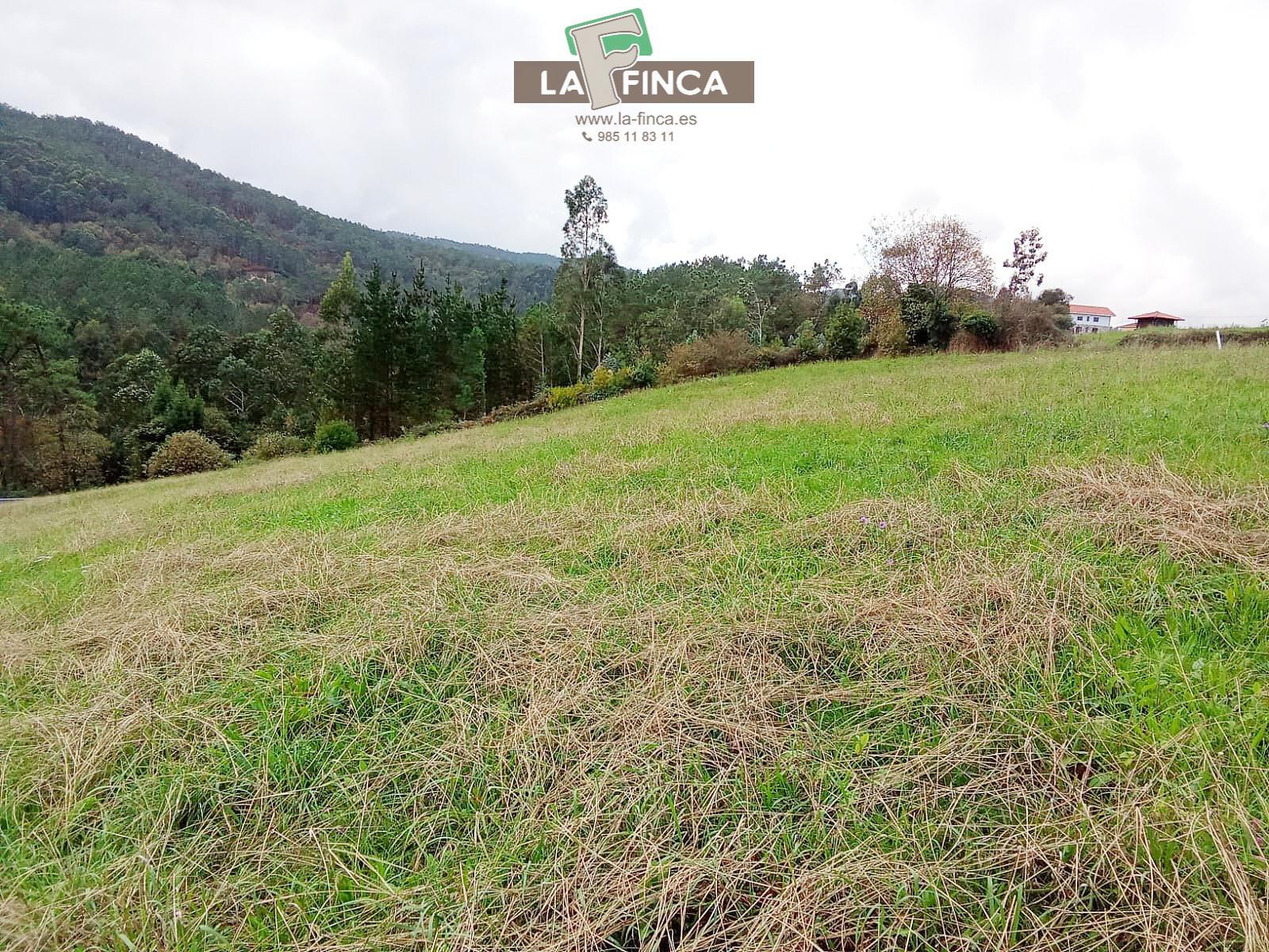 Venta de terreno en Cudillero Concejo