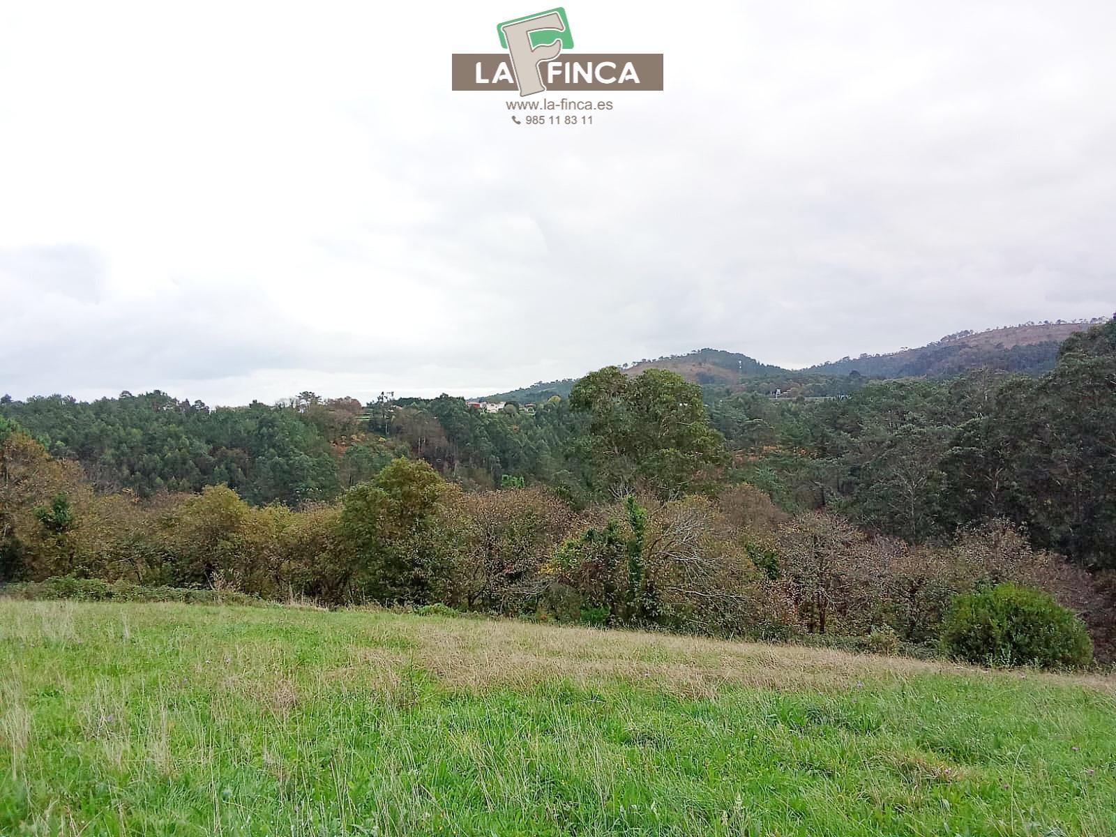 Venta de terreno en Cudillero Concejo