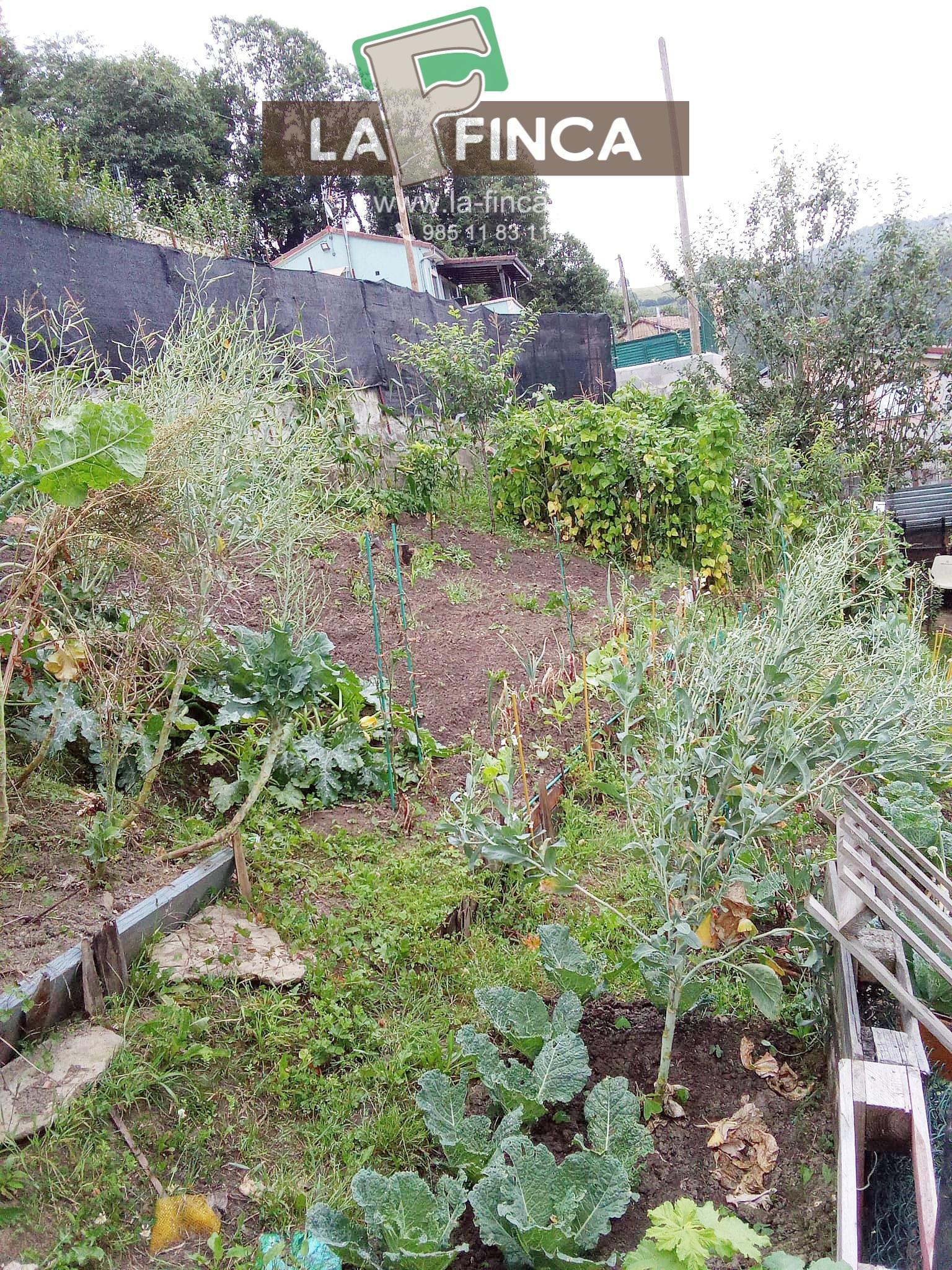 Venta de terreno en Langreo