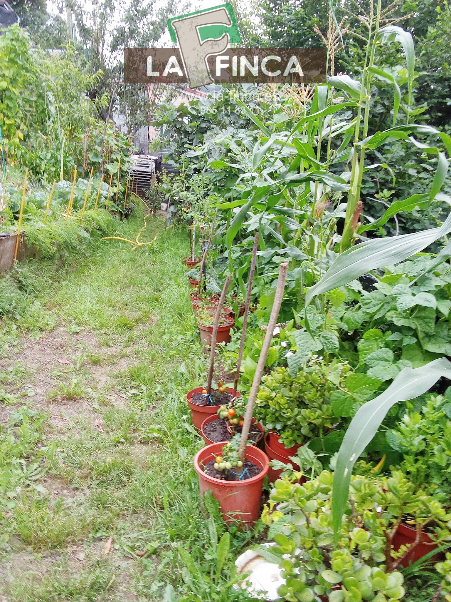 Venta de terreno en Langreo