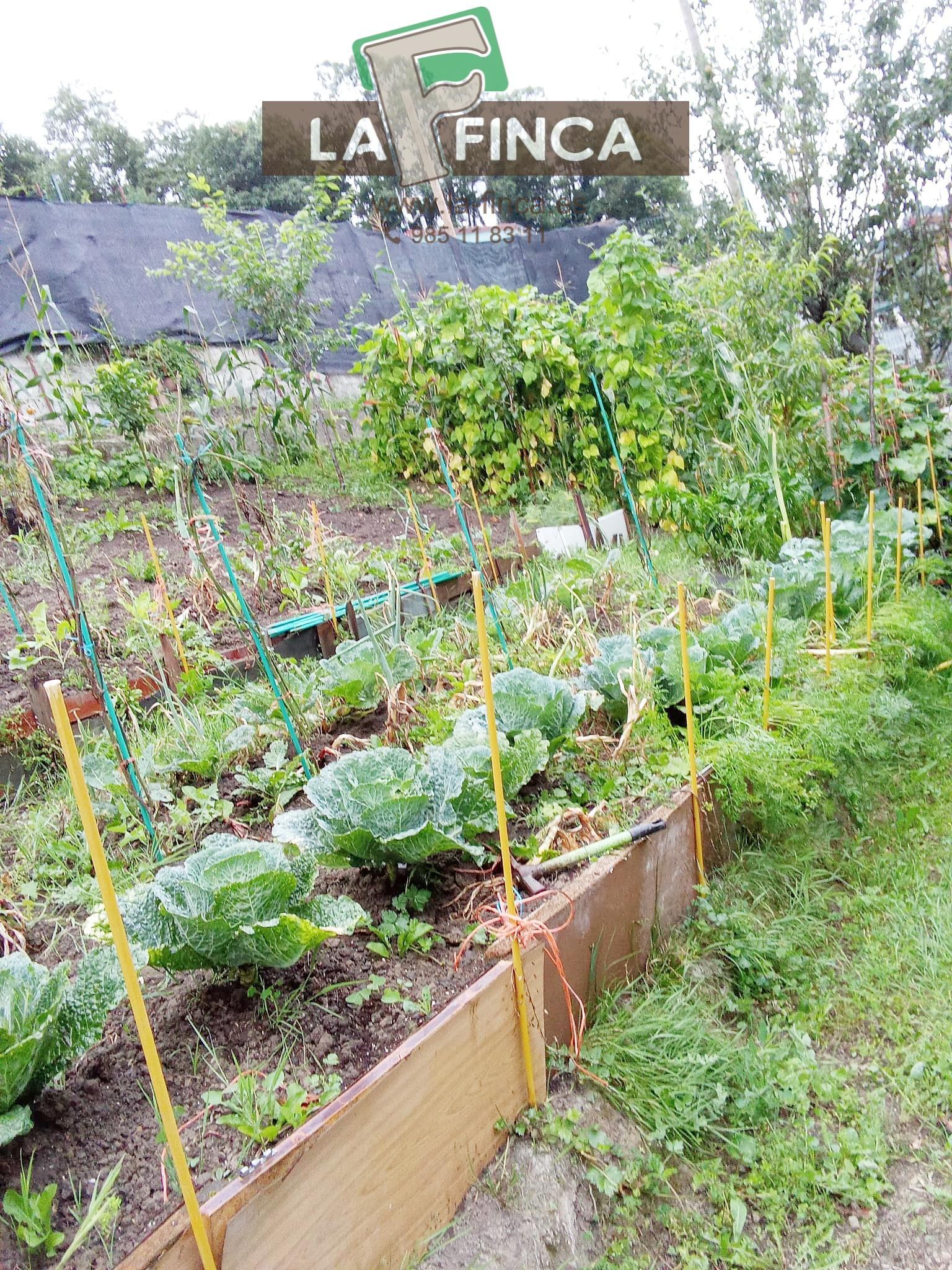 Venta de terreno en Langreo