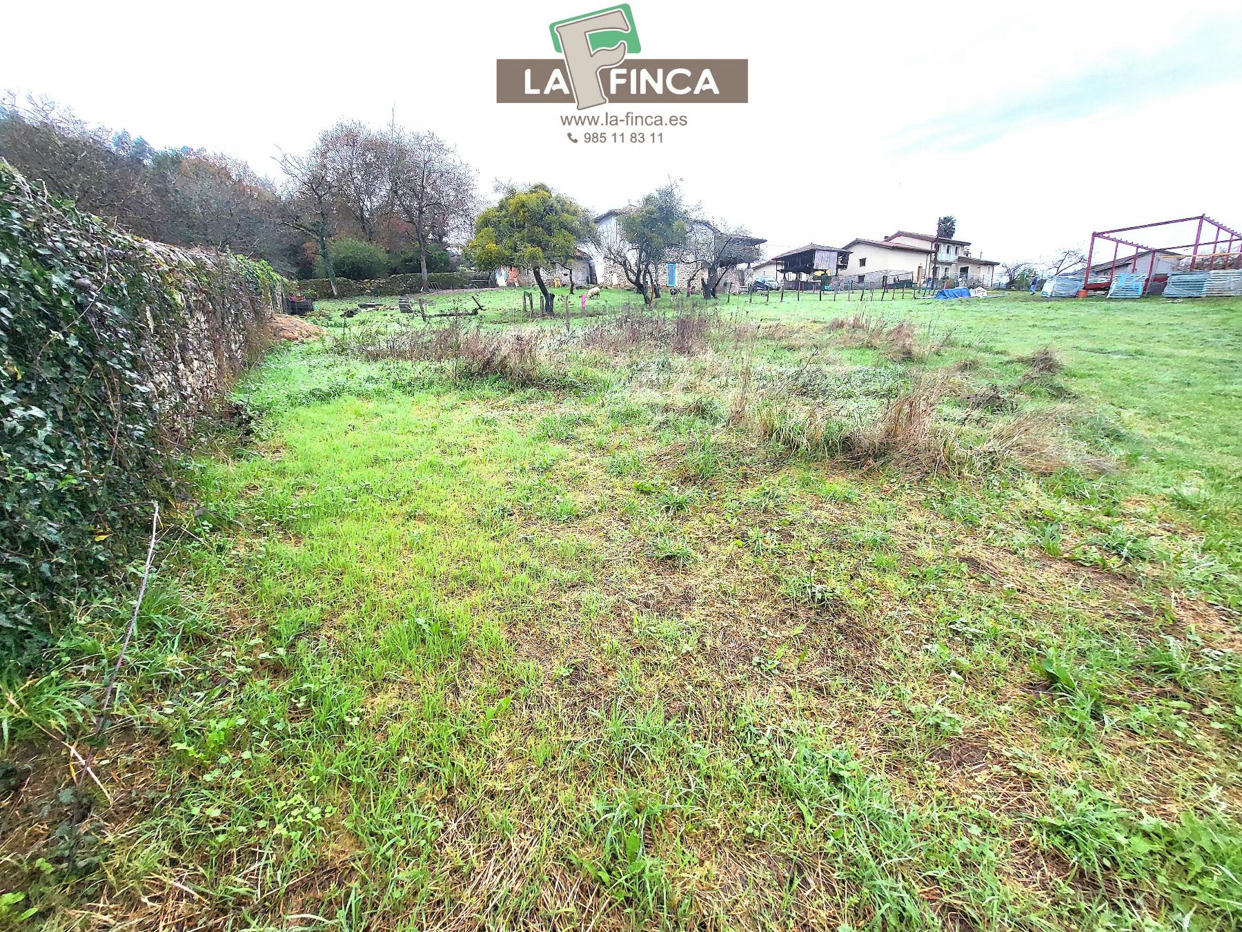 For sale of chalet in Pravia