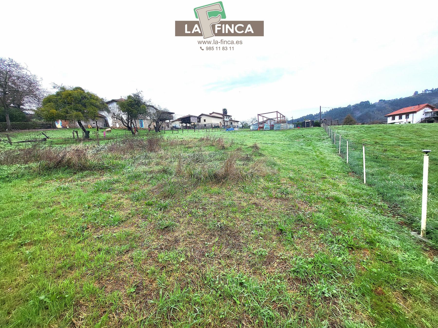 For sale of chalet in Pravia