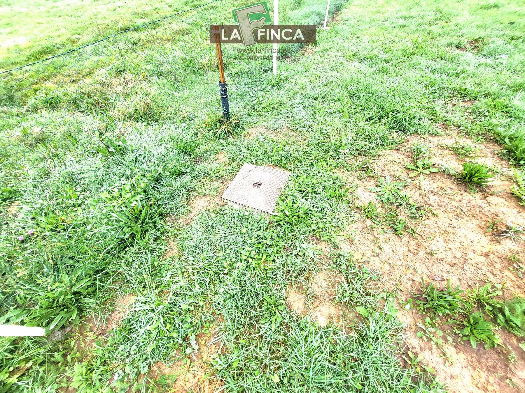 For sale of chalet in Pravia