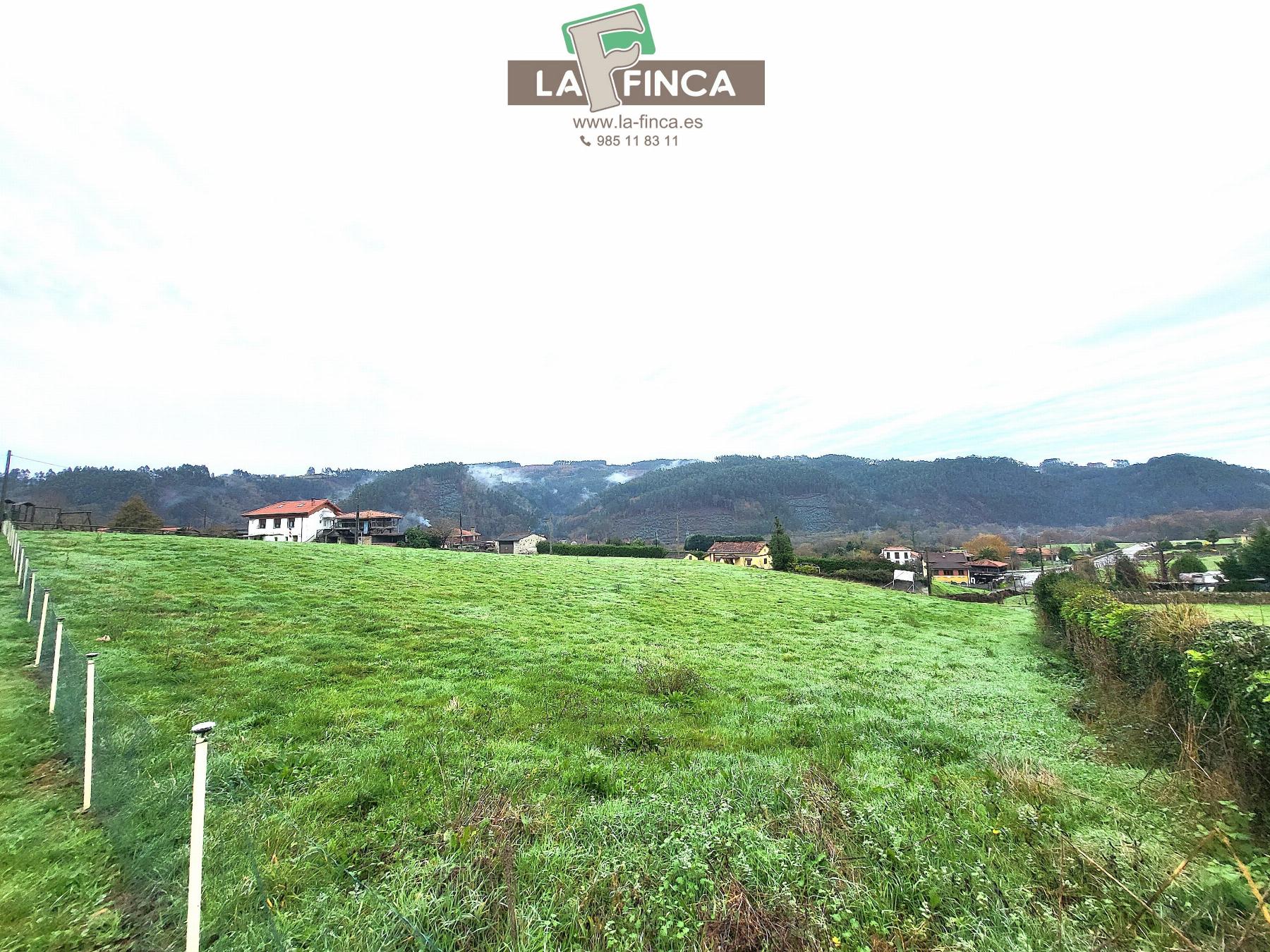 For sale of chalet in Pravia