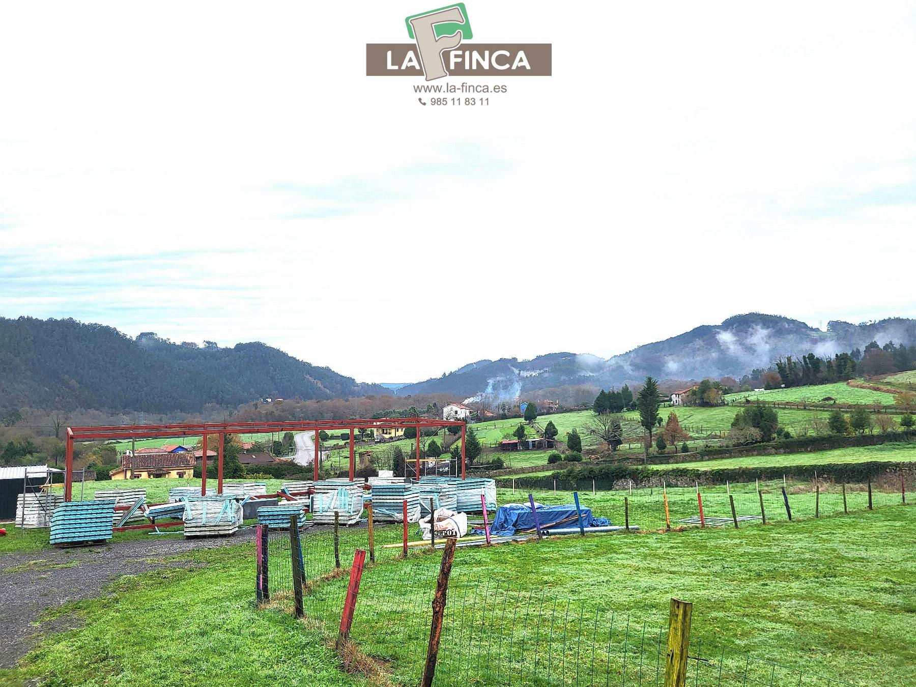 For sale of chalet in Pravia