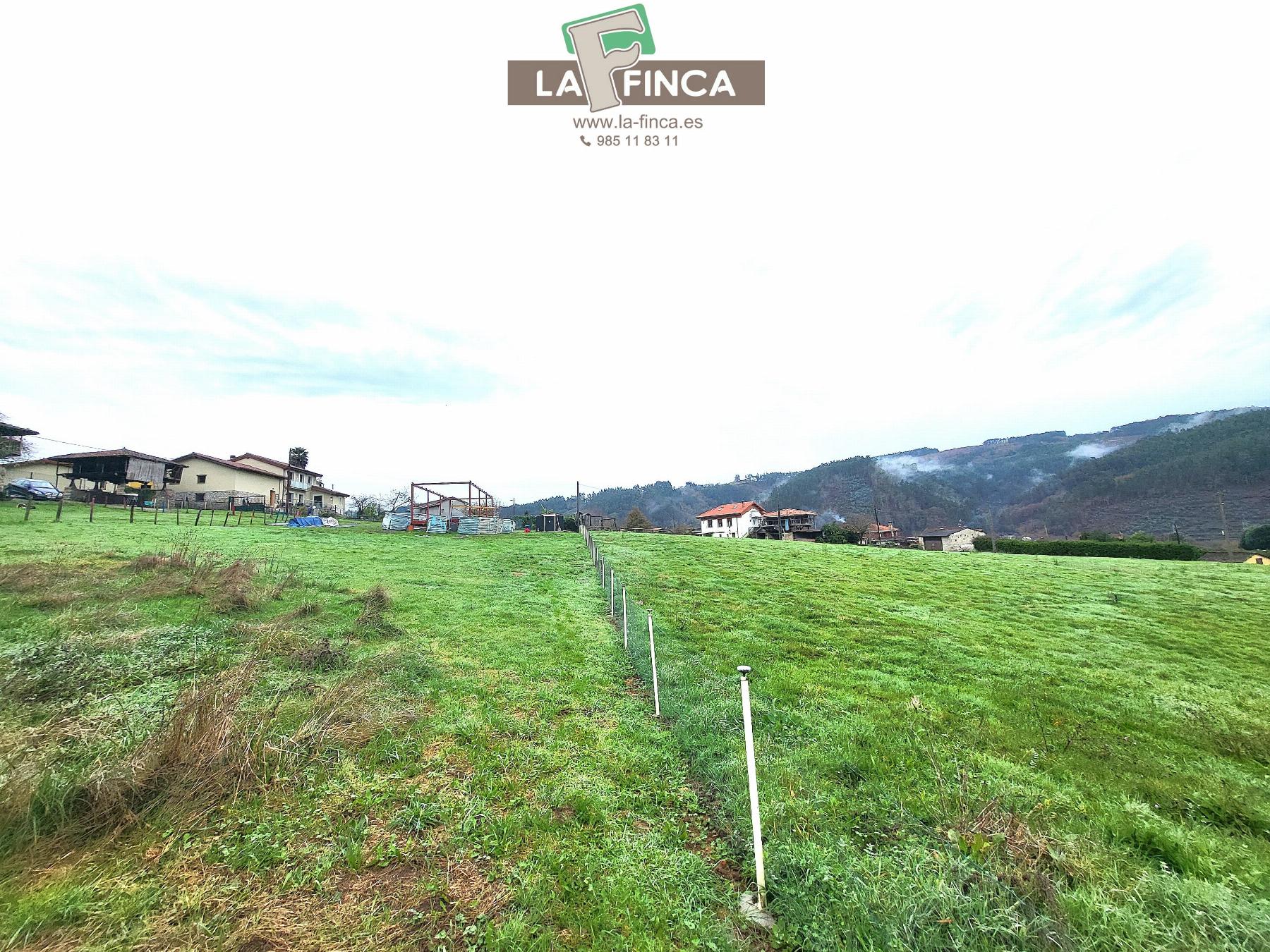 For sale of chalet in Pravia