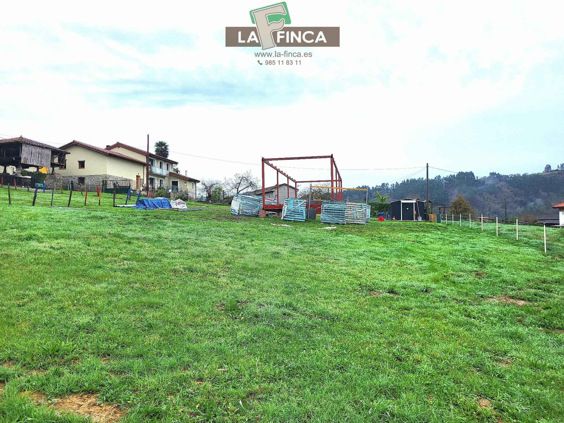 For sale of chalet in Pravia