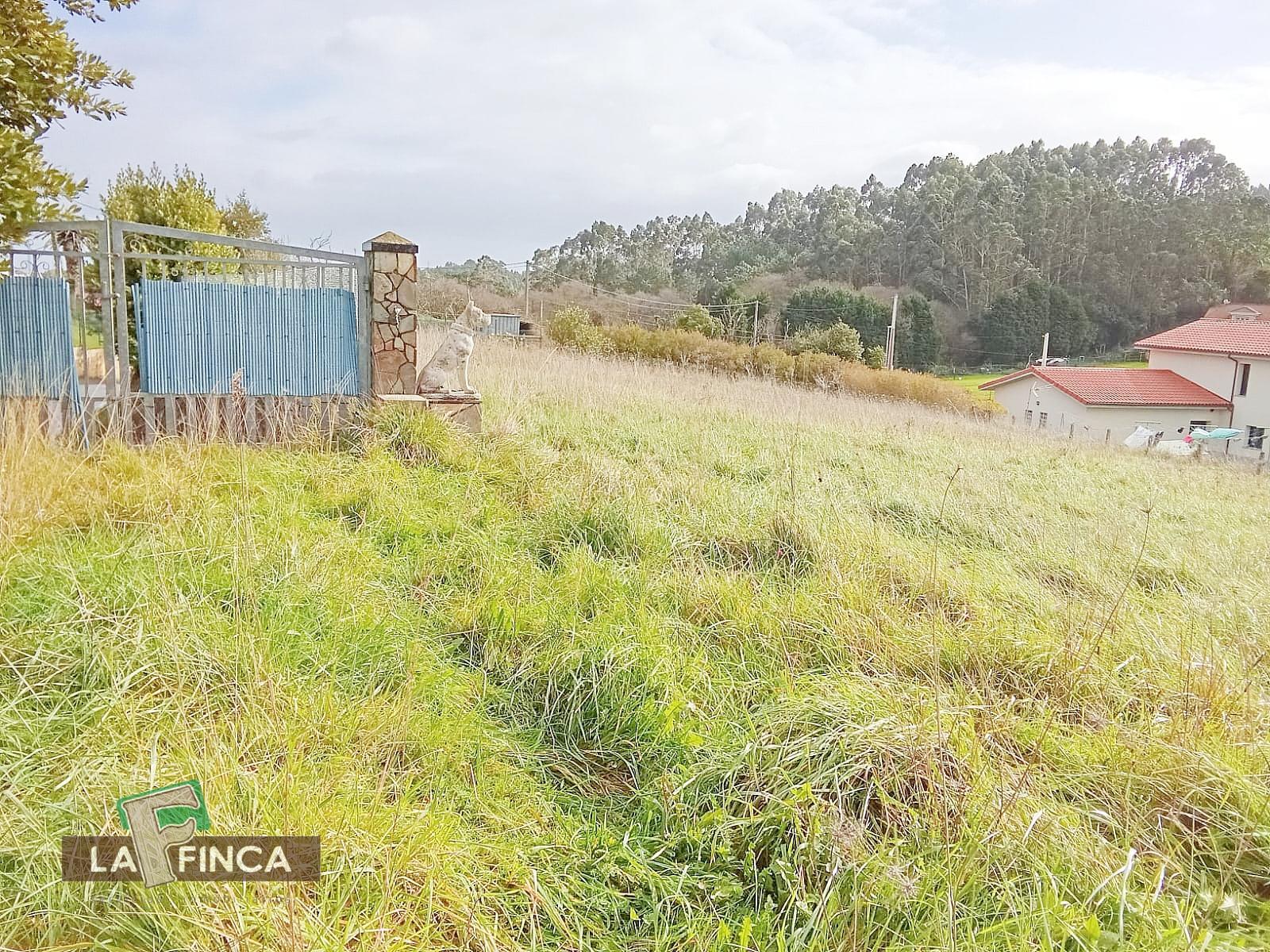 For sale of land in Gozón