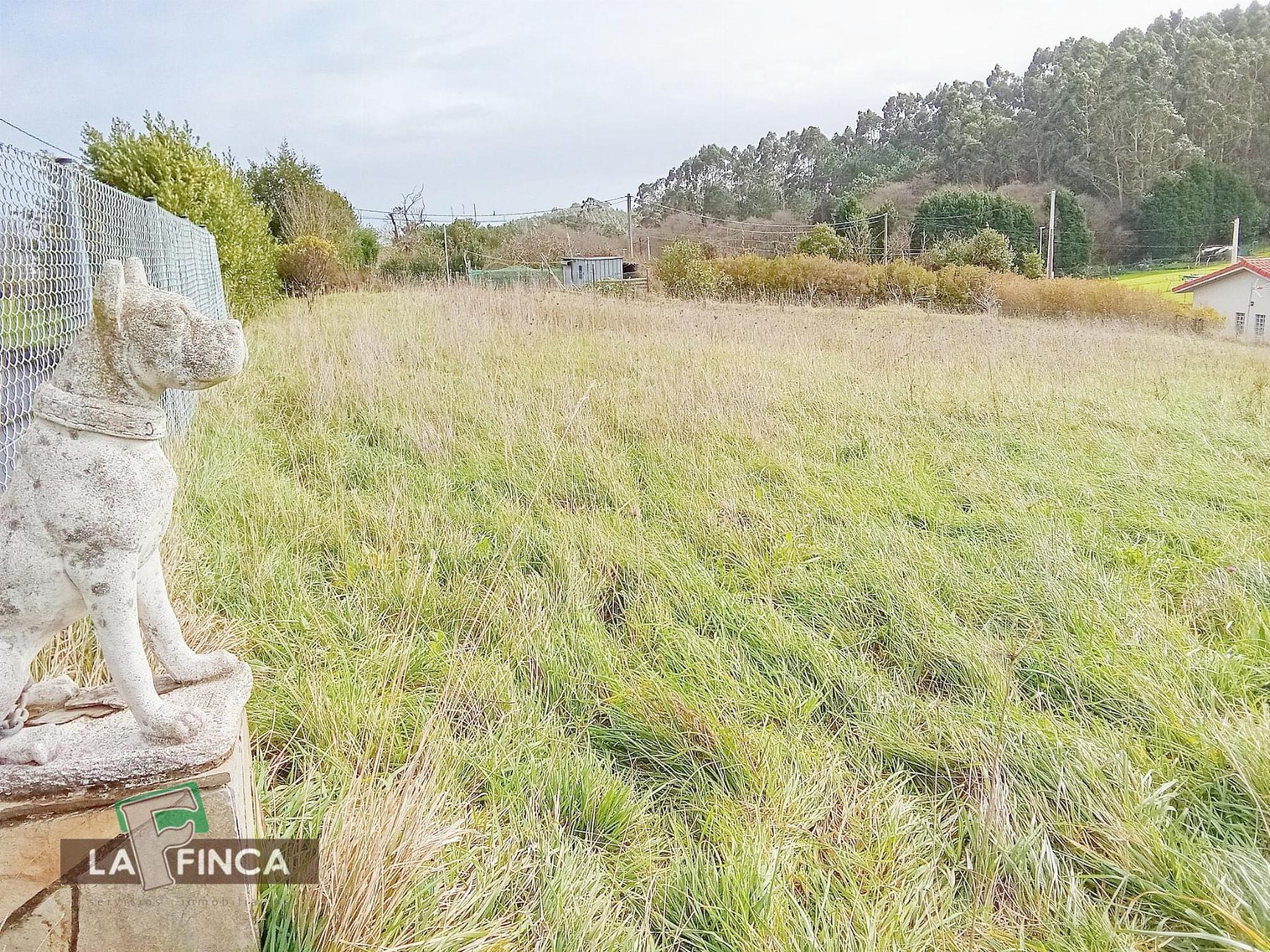 For sale of land in Gozón