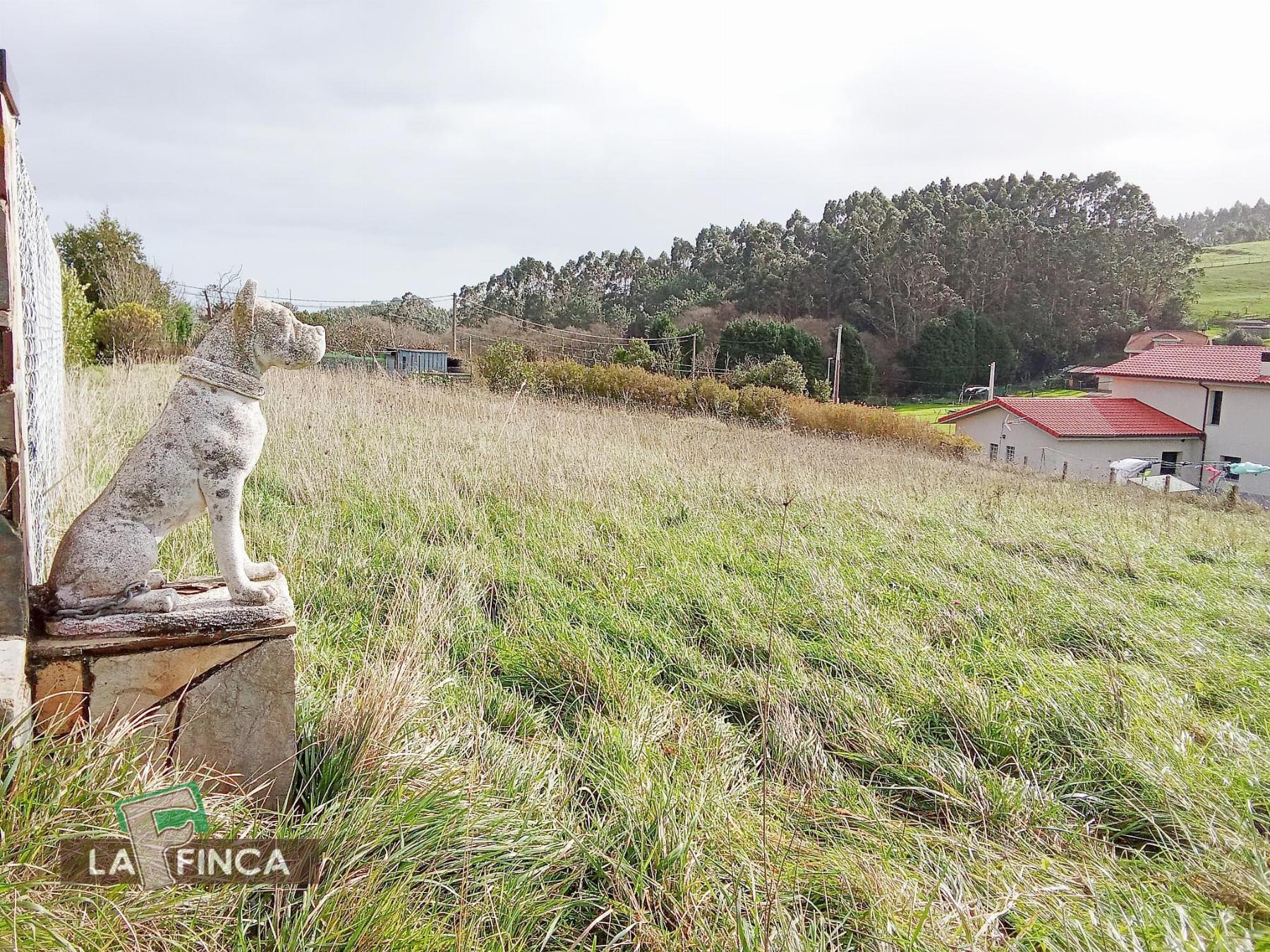 For sale of land in Gozón