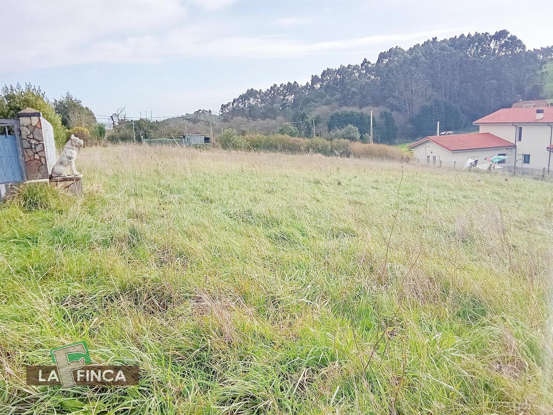 For sale of land in Gozón