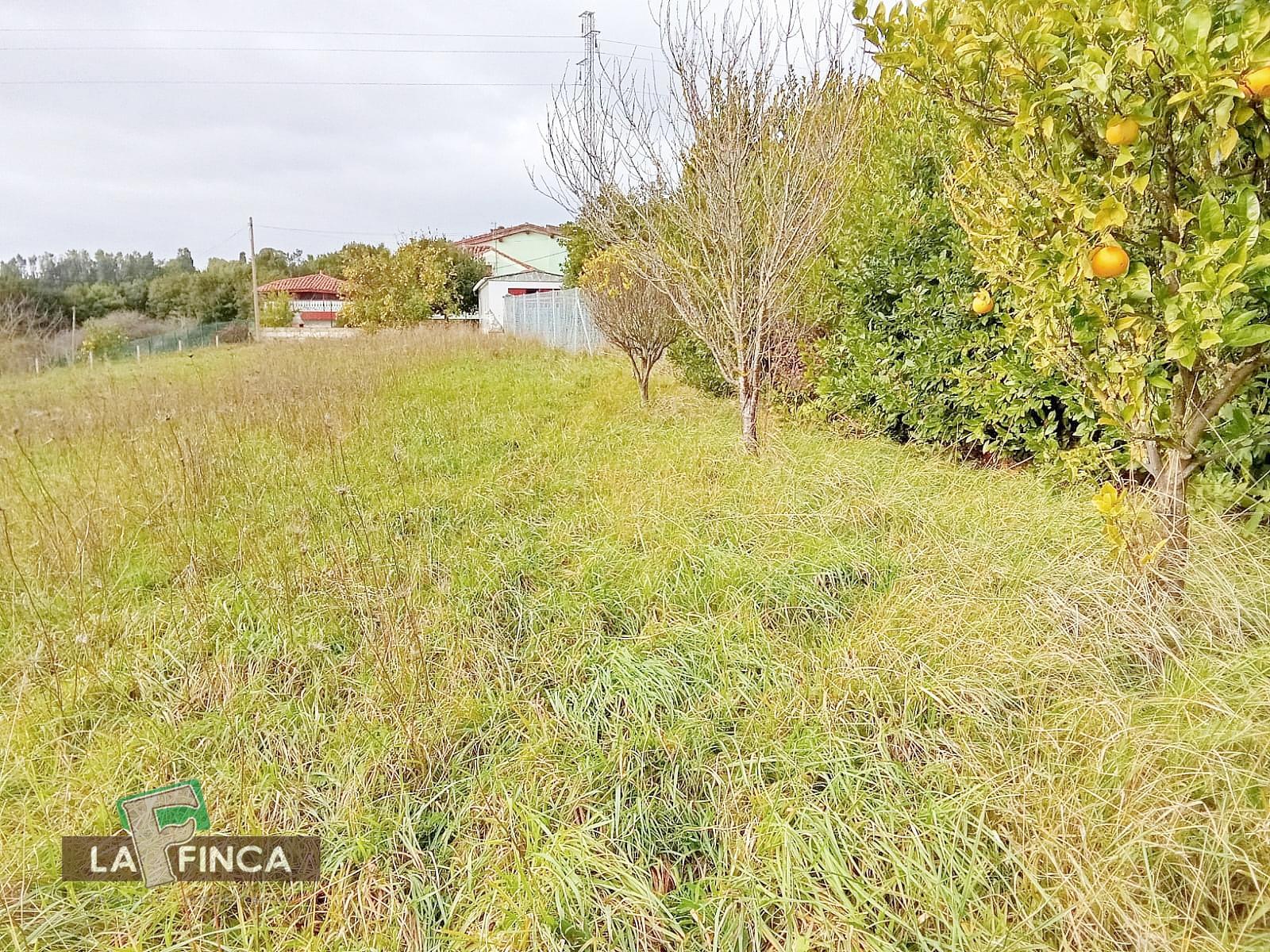 For sale of land in Gozón