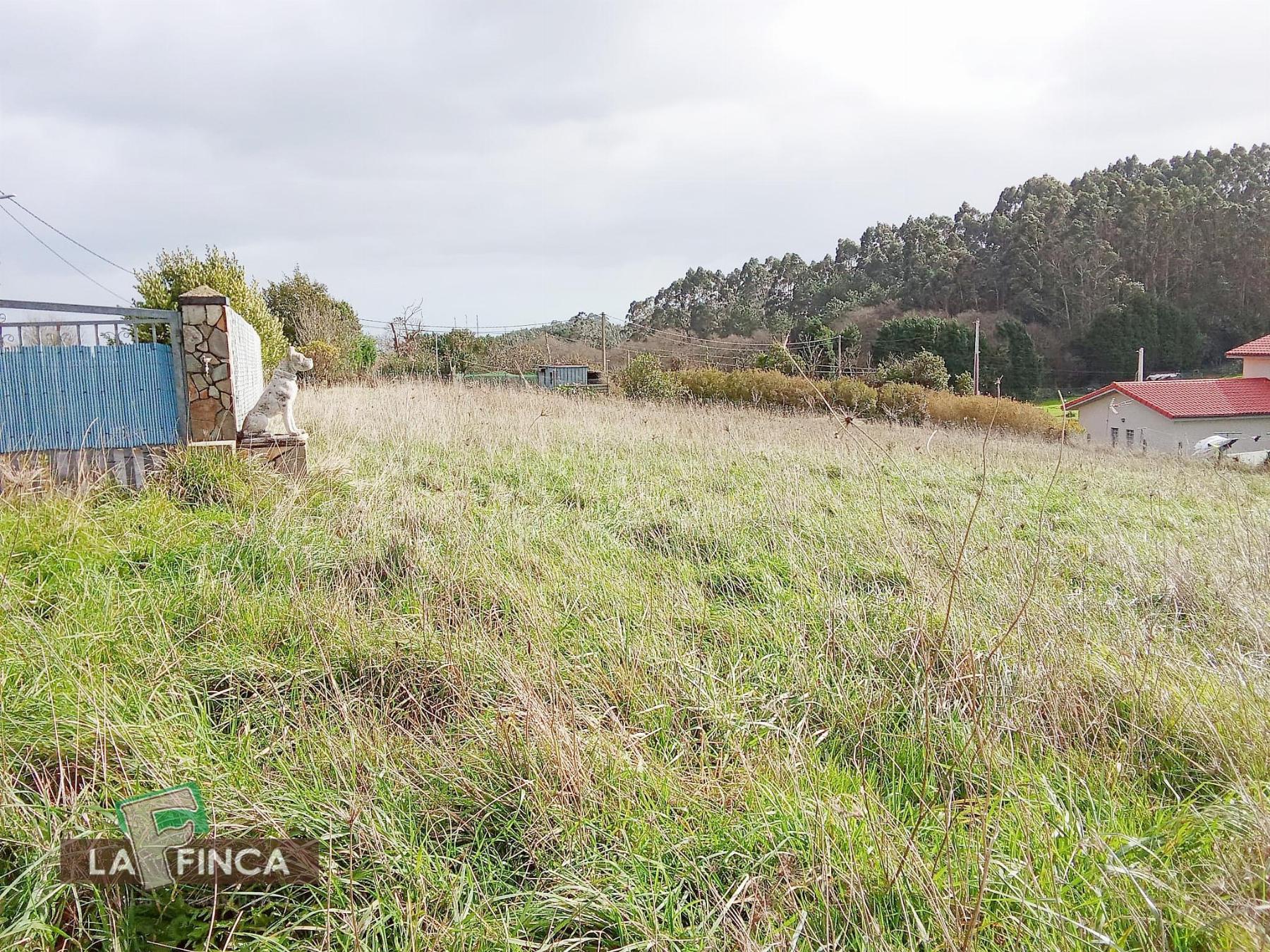 For sale of land in Gozón