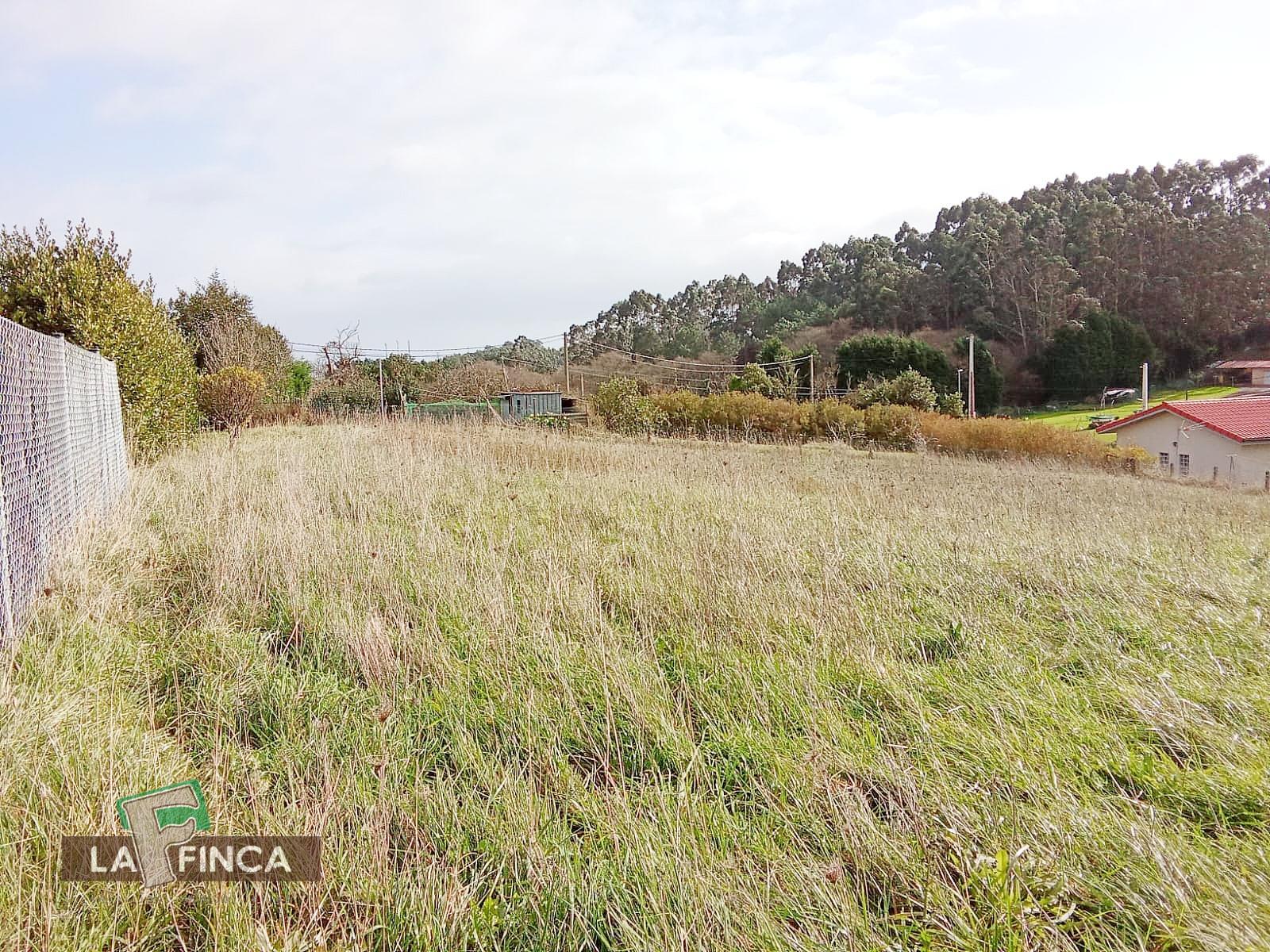 For sale of land in Gozón