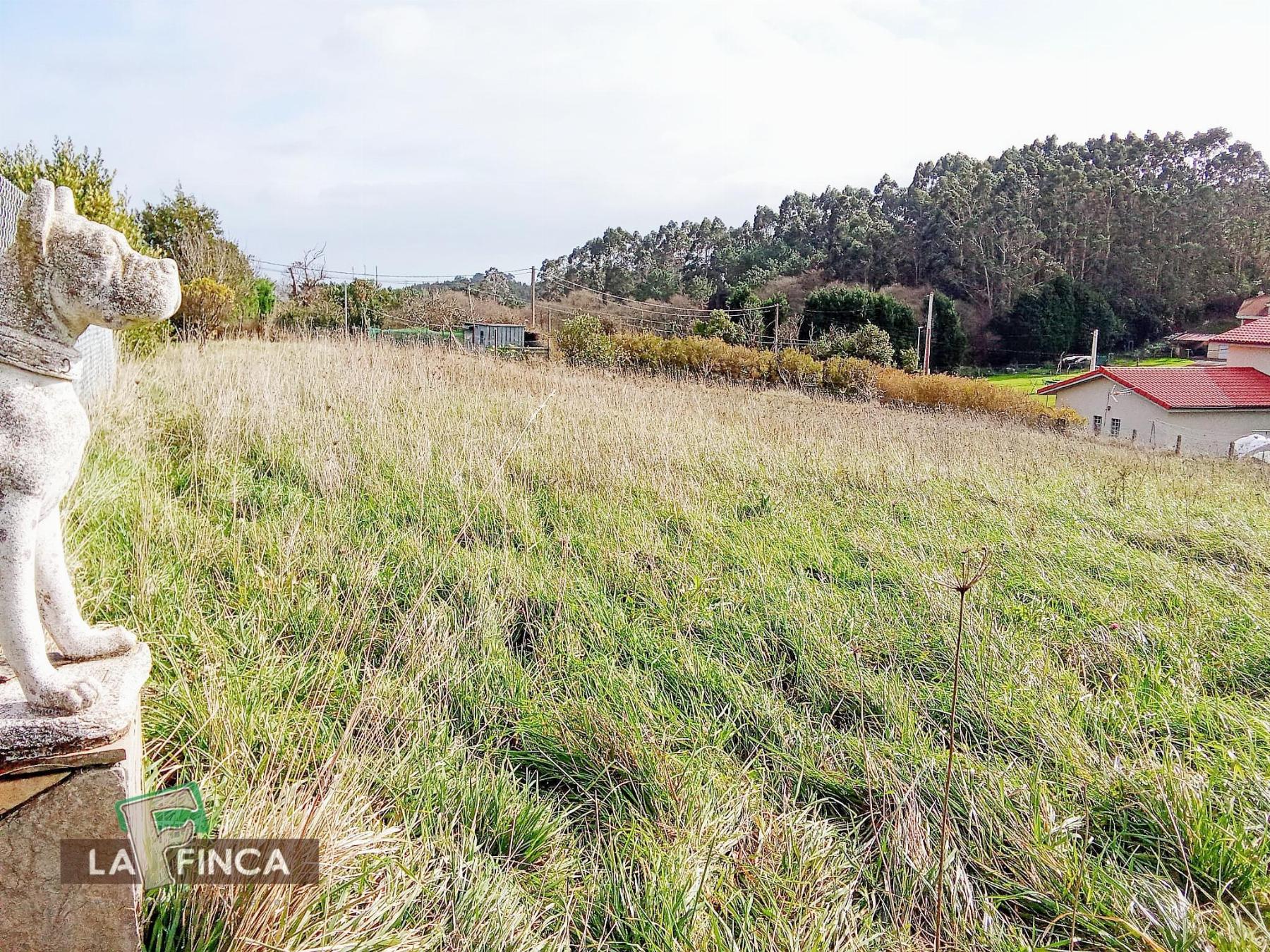 For sale of land in Gozón