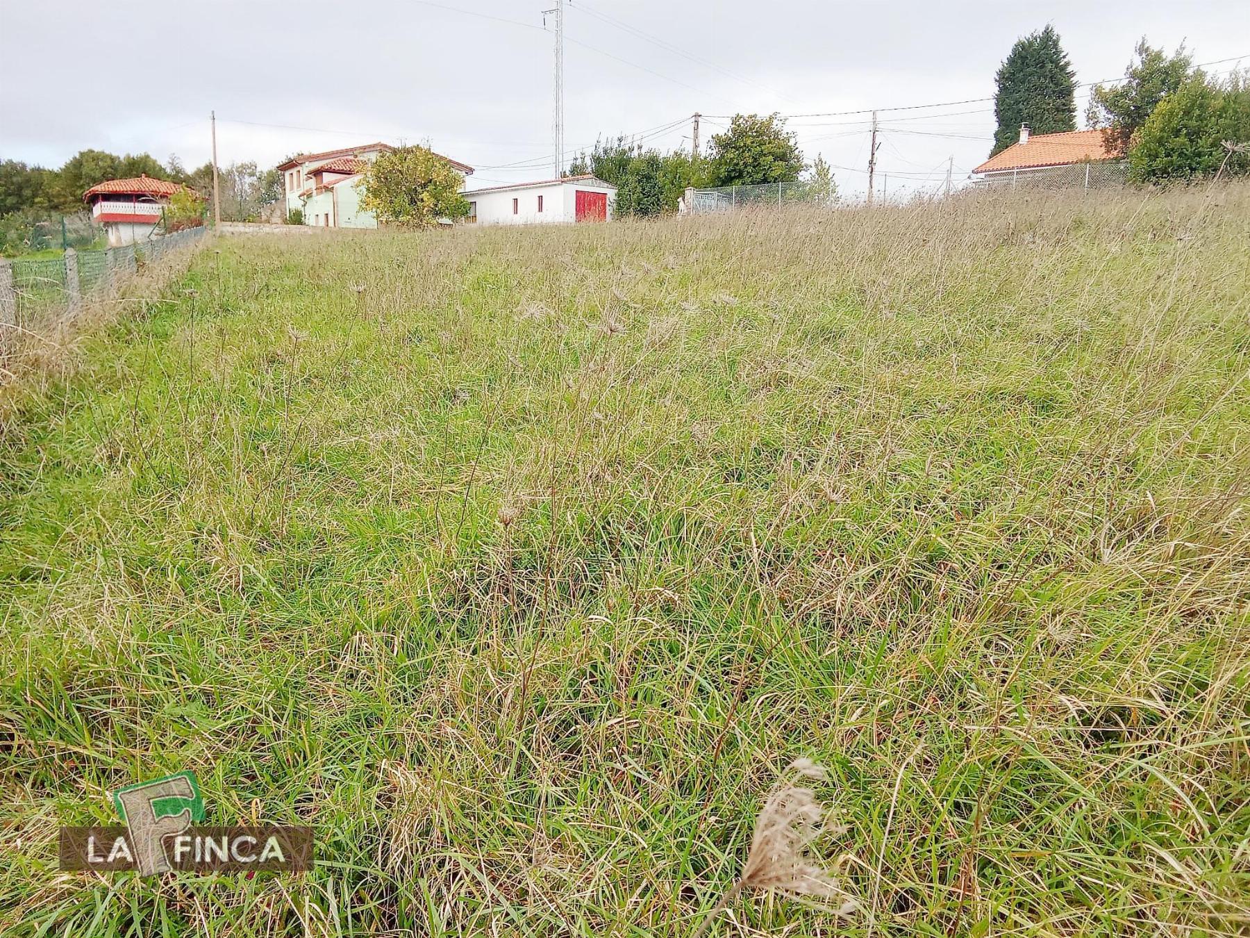 For sale of land in Gozón