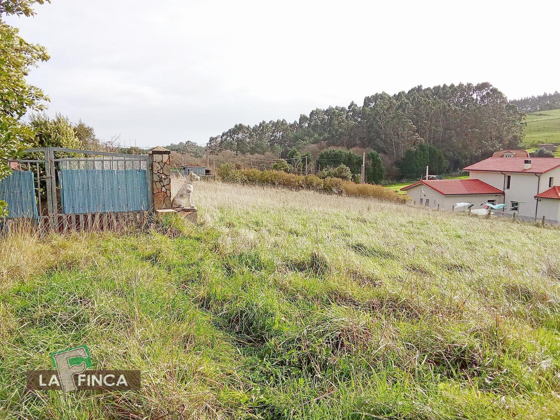 For sale of land in Gozón