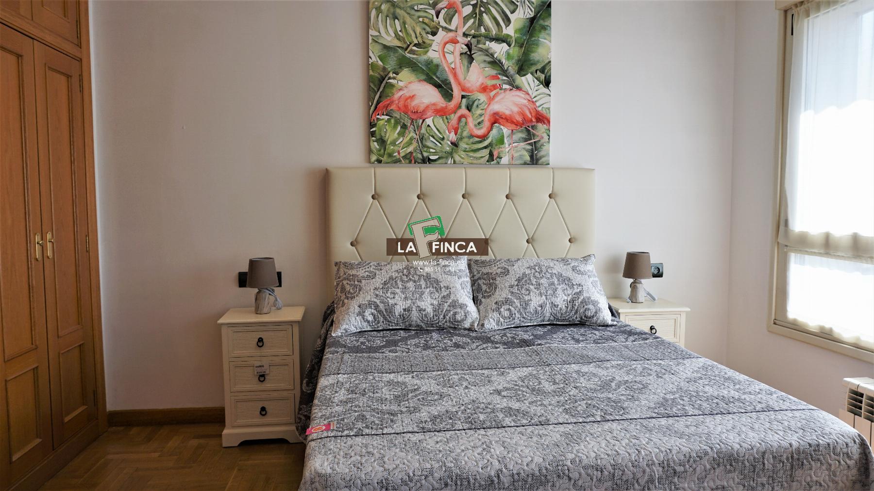 For rent of apartment in Oviedo