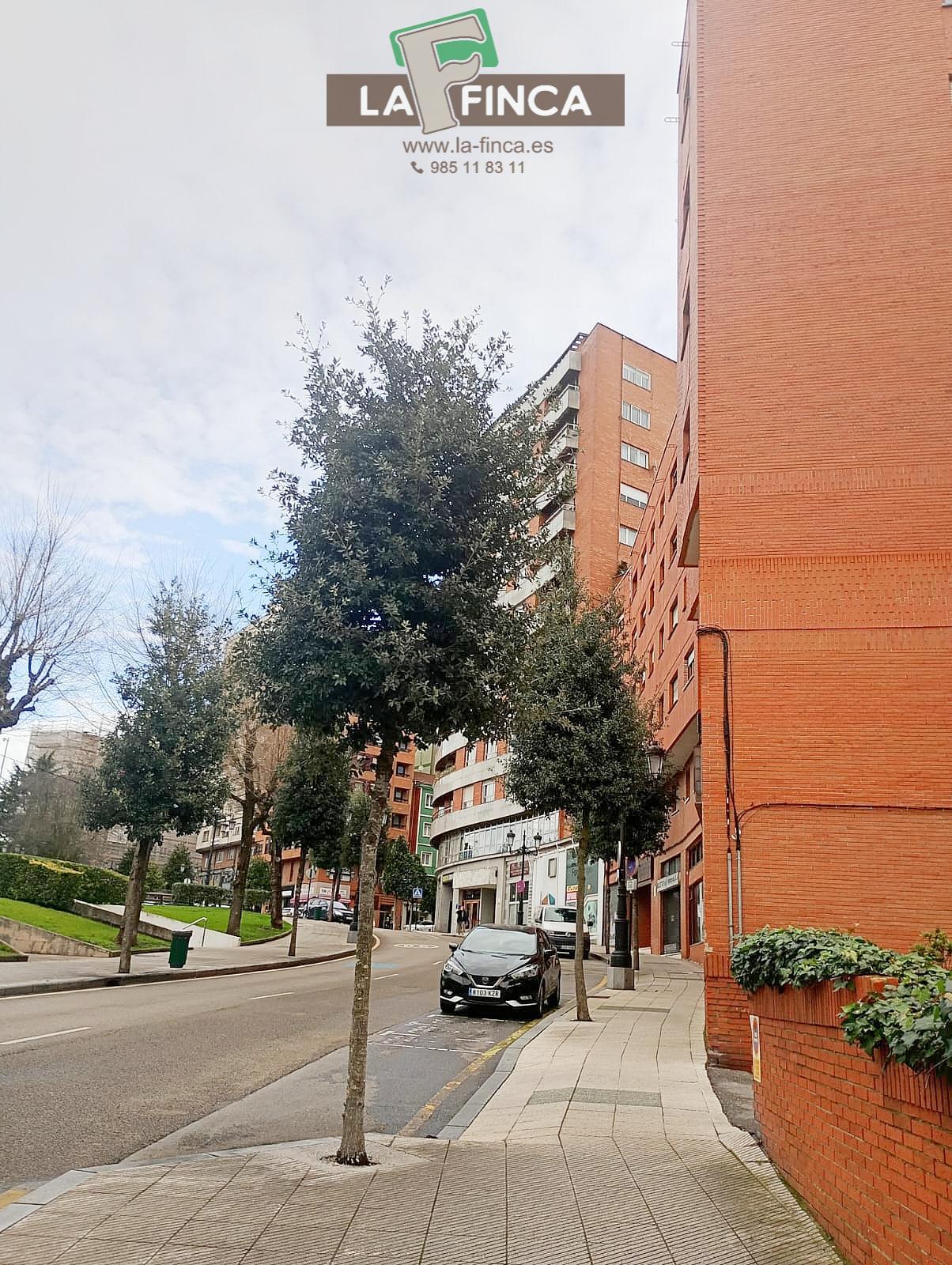 For rent of apartment in Oviedo