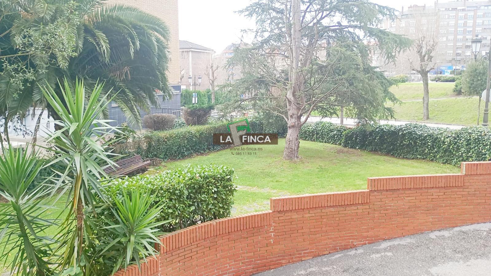 For rent of apartment in Oviedo