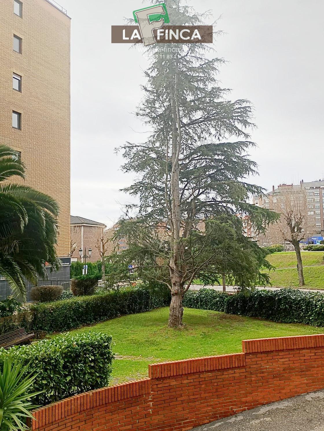 For rent of apartment in Oviedo