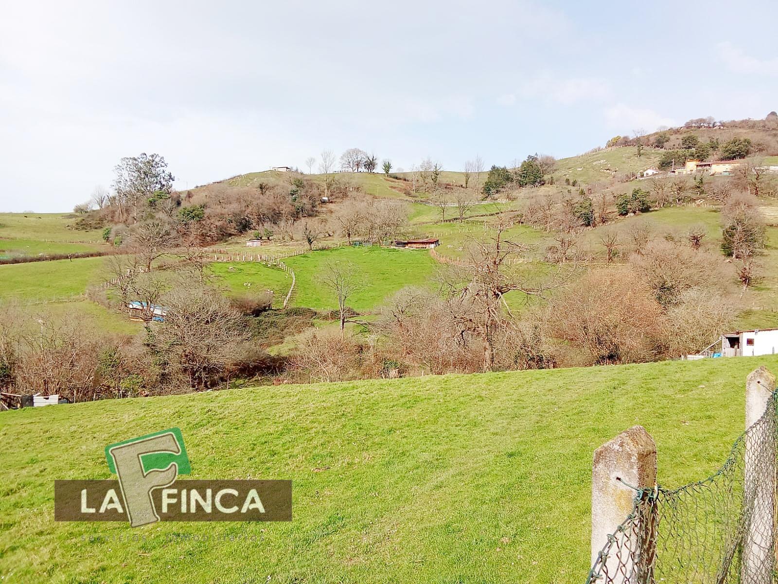 Venta de terreno en Olloniego/Lluniego