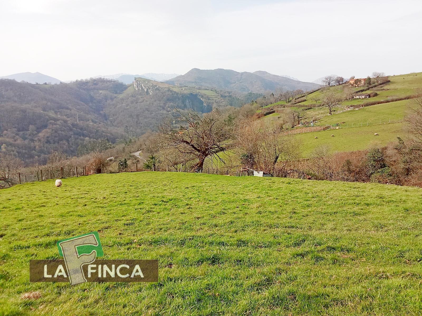 Venta de terreno en Olloniego/Lluniego