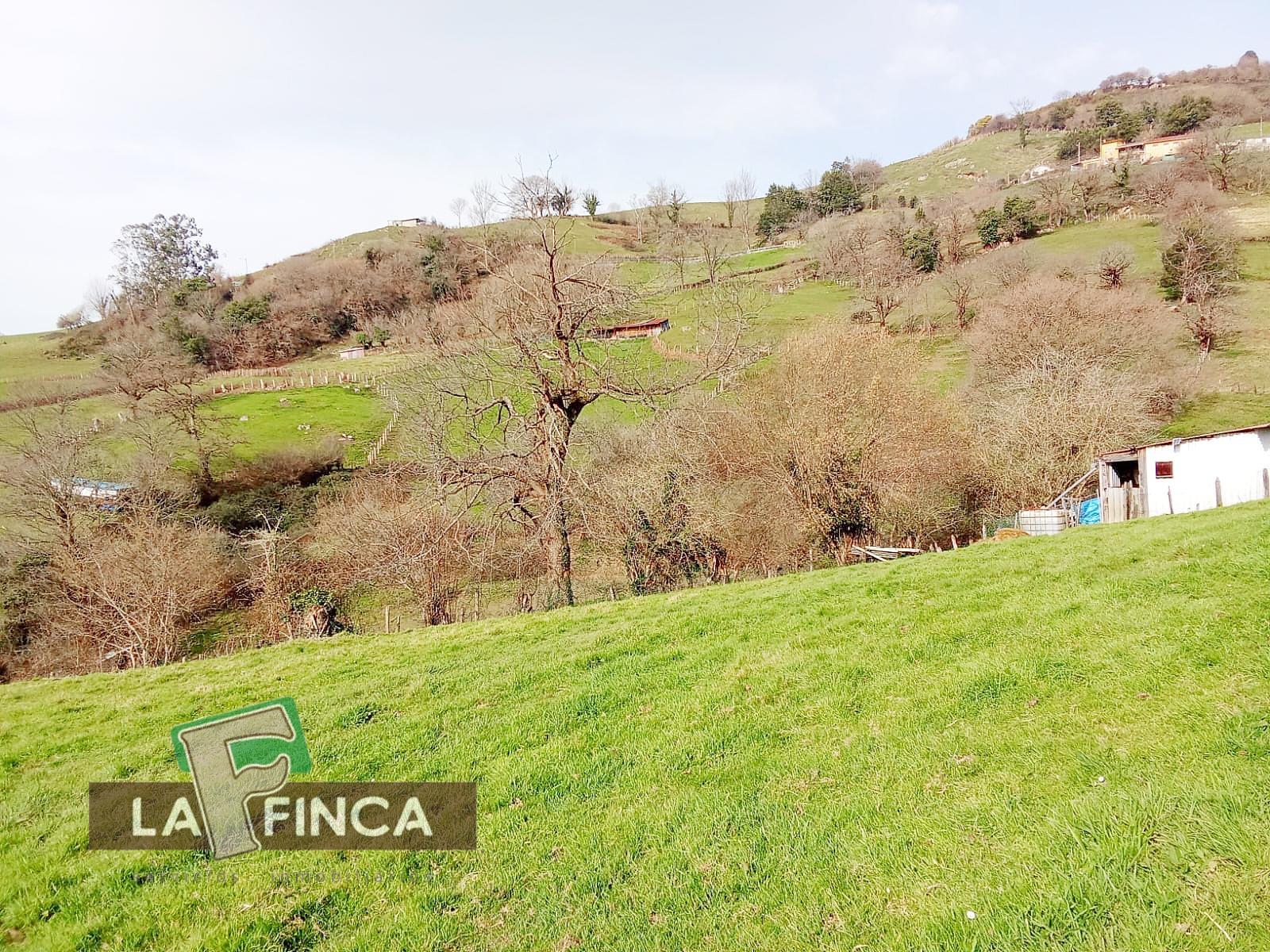 Venta de terreno en Olloniego/Lluniego