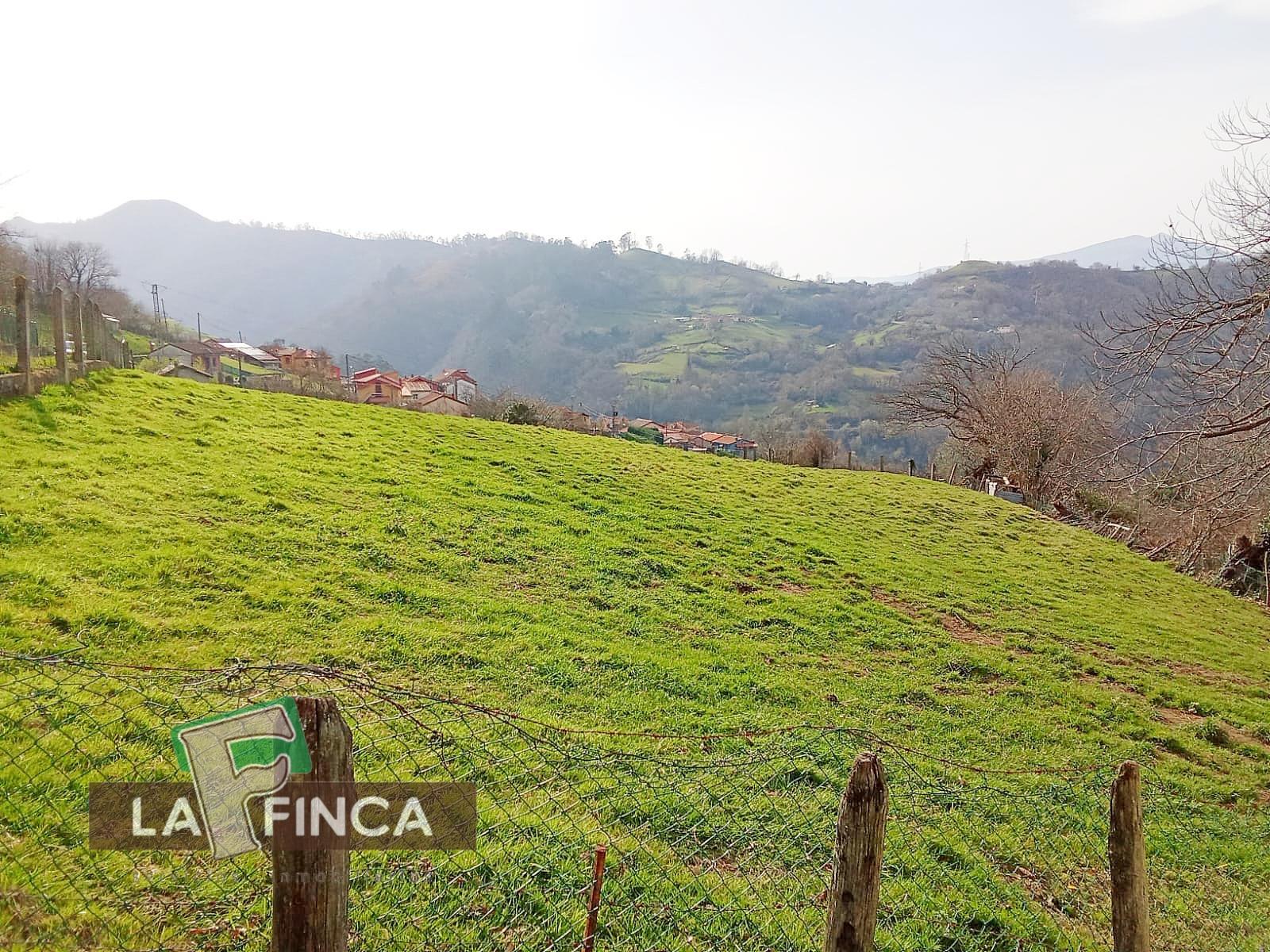 Venta de terreno en Olloniego/Lluniego