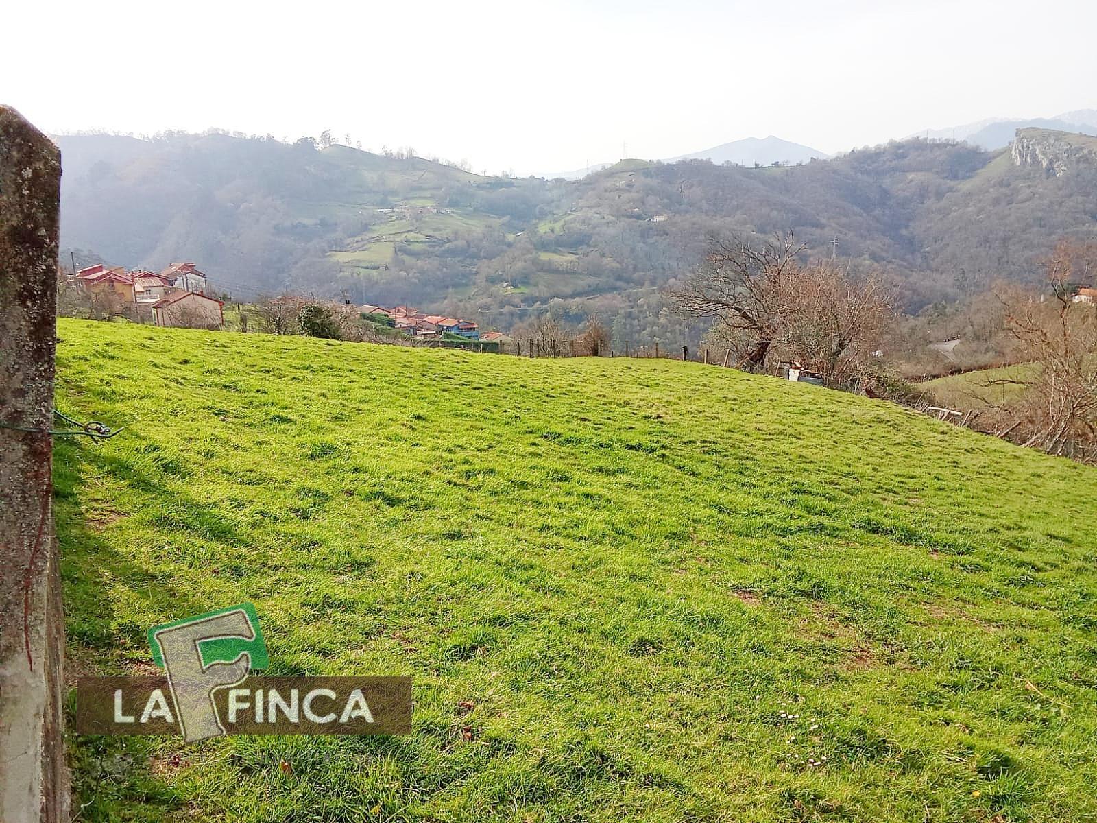 Venta de terreno en Olloniego/Lluniego