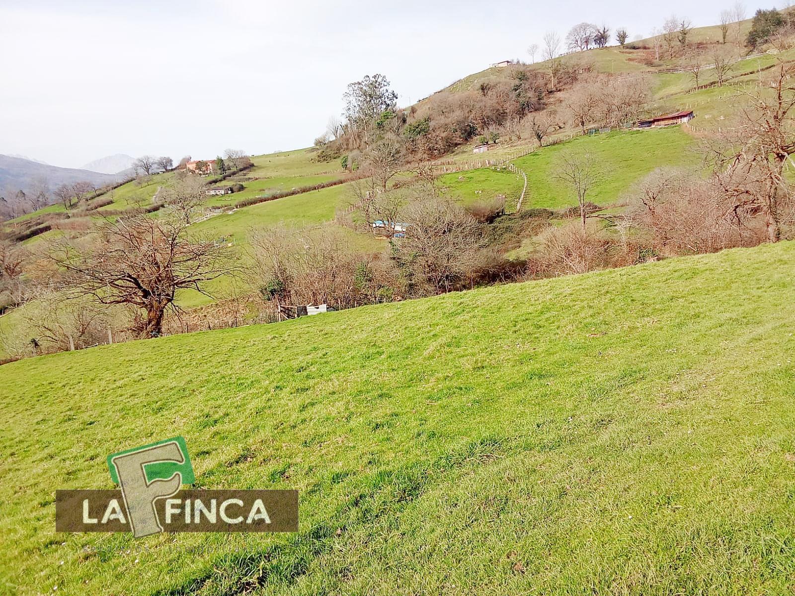 Venta de terreno en Olloniego/Lluniego