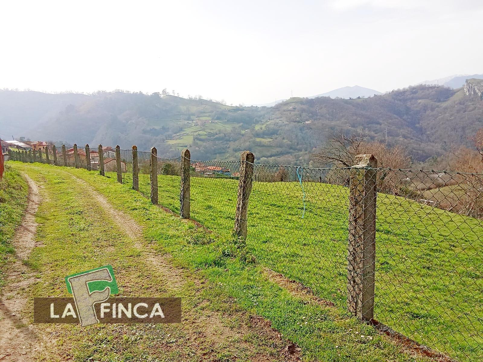 Venta de terreno en Olloniego/Lluniego