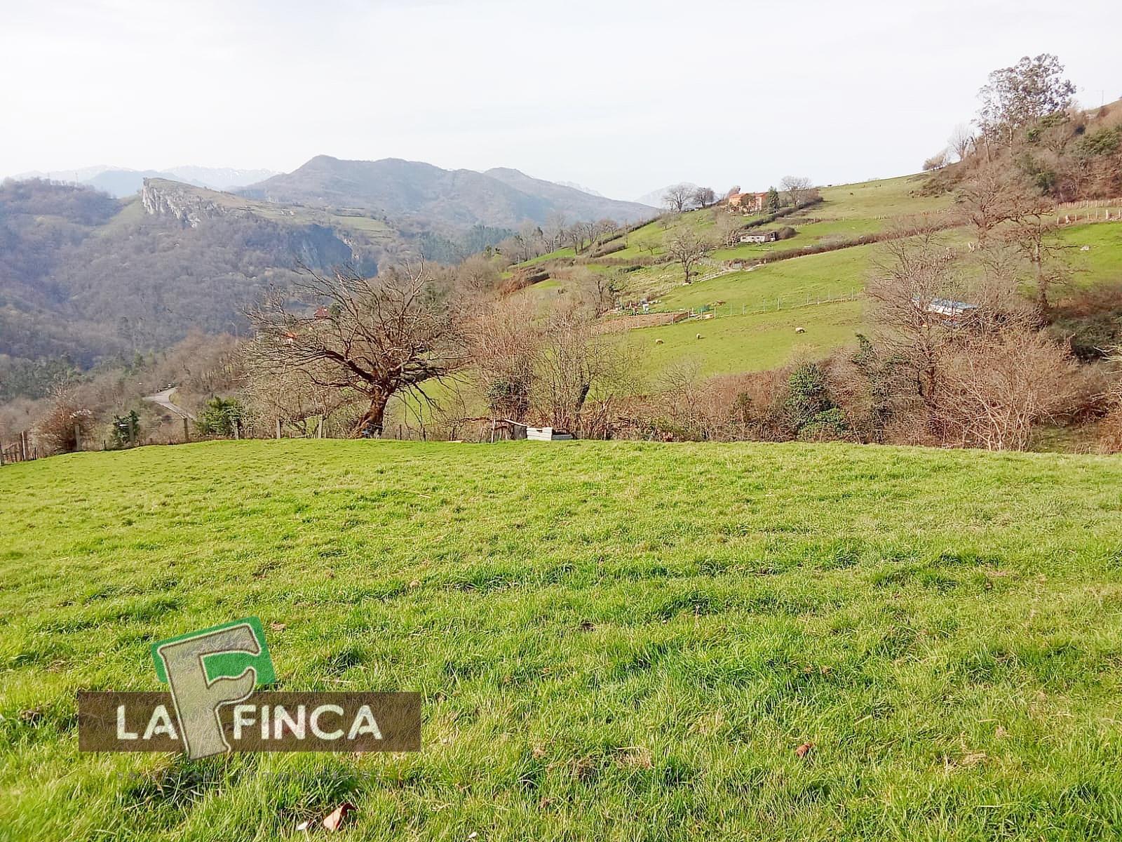 Venta de terreno en Olloniego/Lluniego