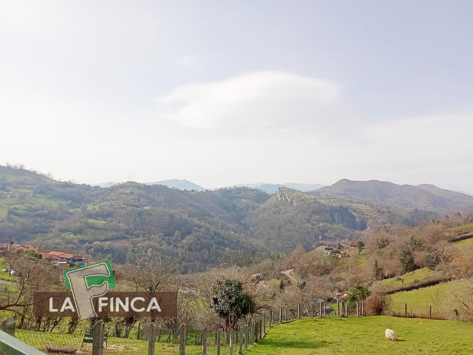 Venta de terreno en Olloniego/Lluniego