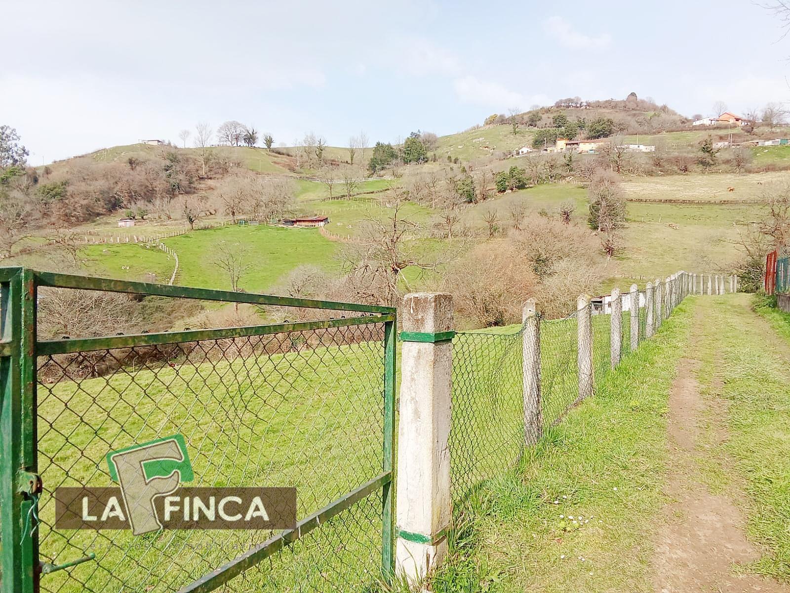 Venta de terreno en Olloniego/Lluniego