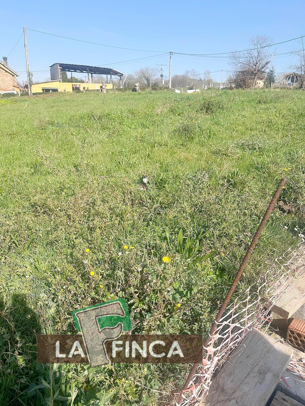 For sale of chalet in Siero